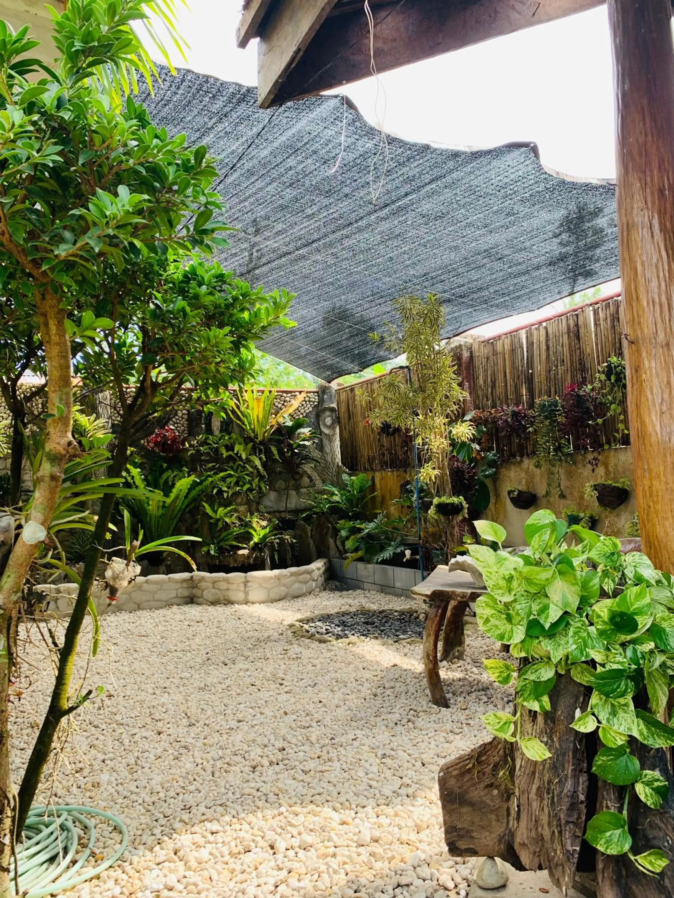 Garden in Pisces Tourist Inn - Port Barton