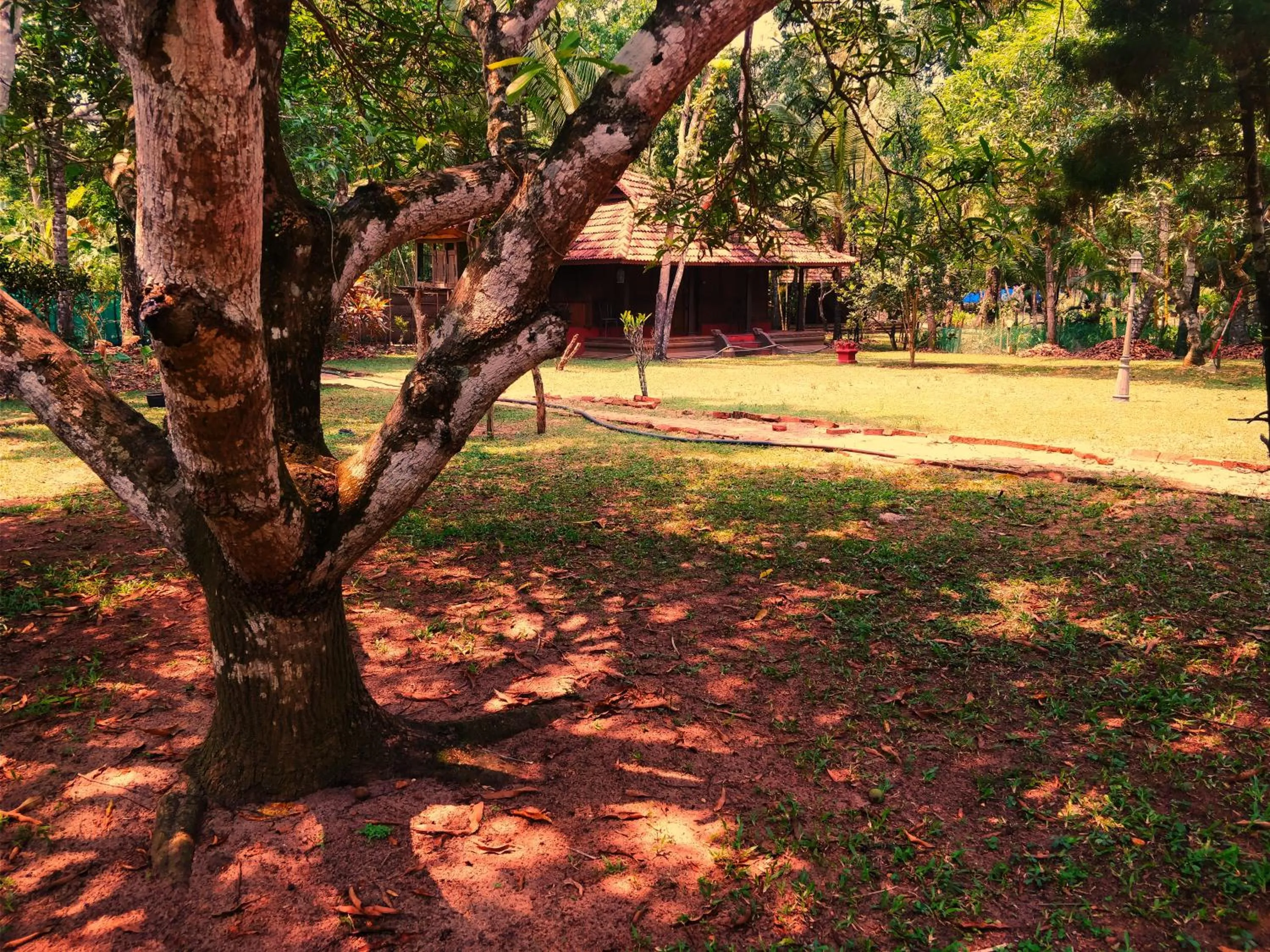 Facade/entrance in Palathra Heritage