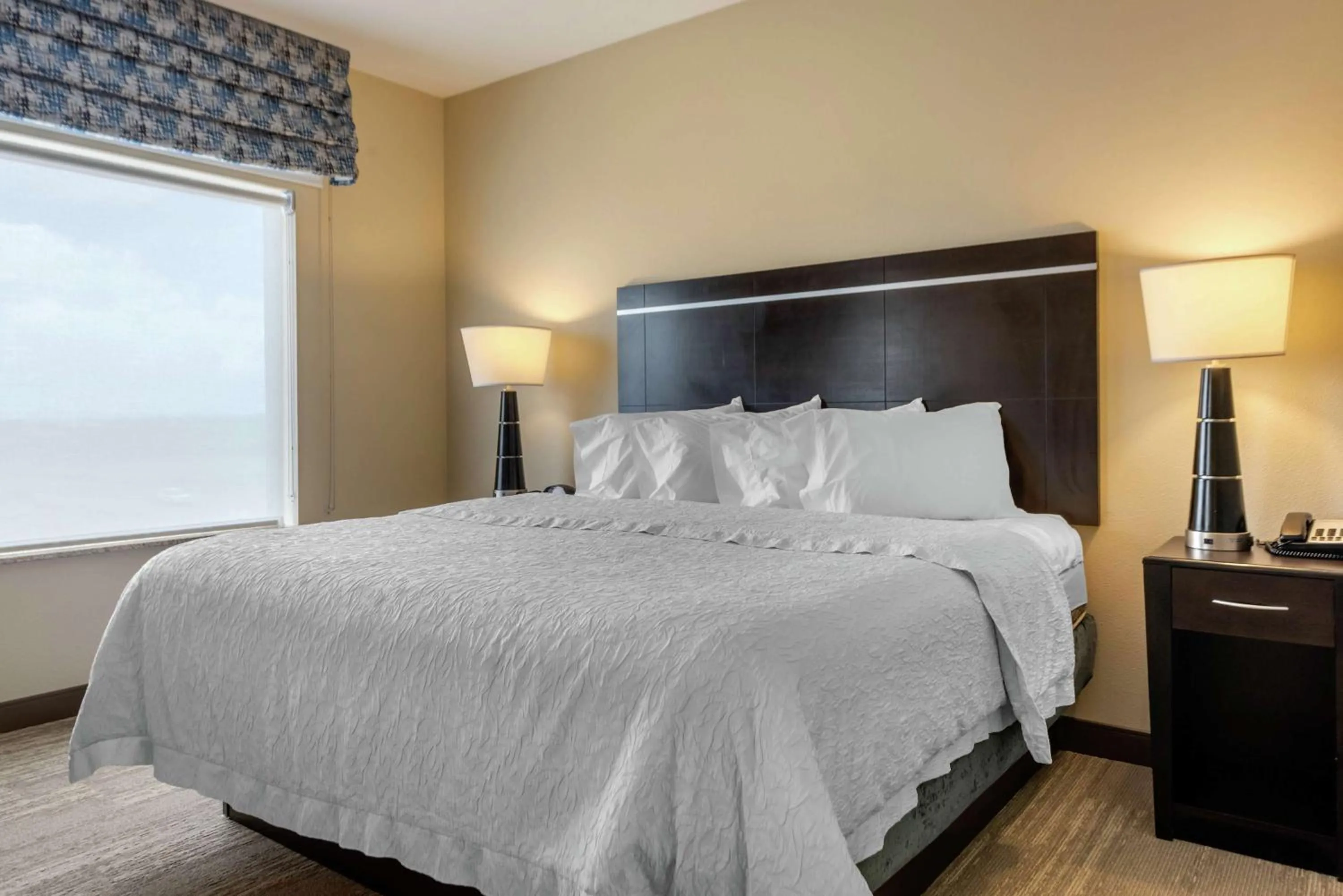 Bed in Hampton Inn Alamosa