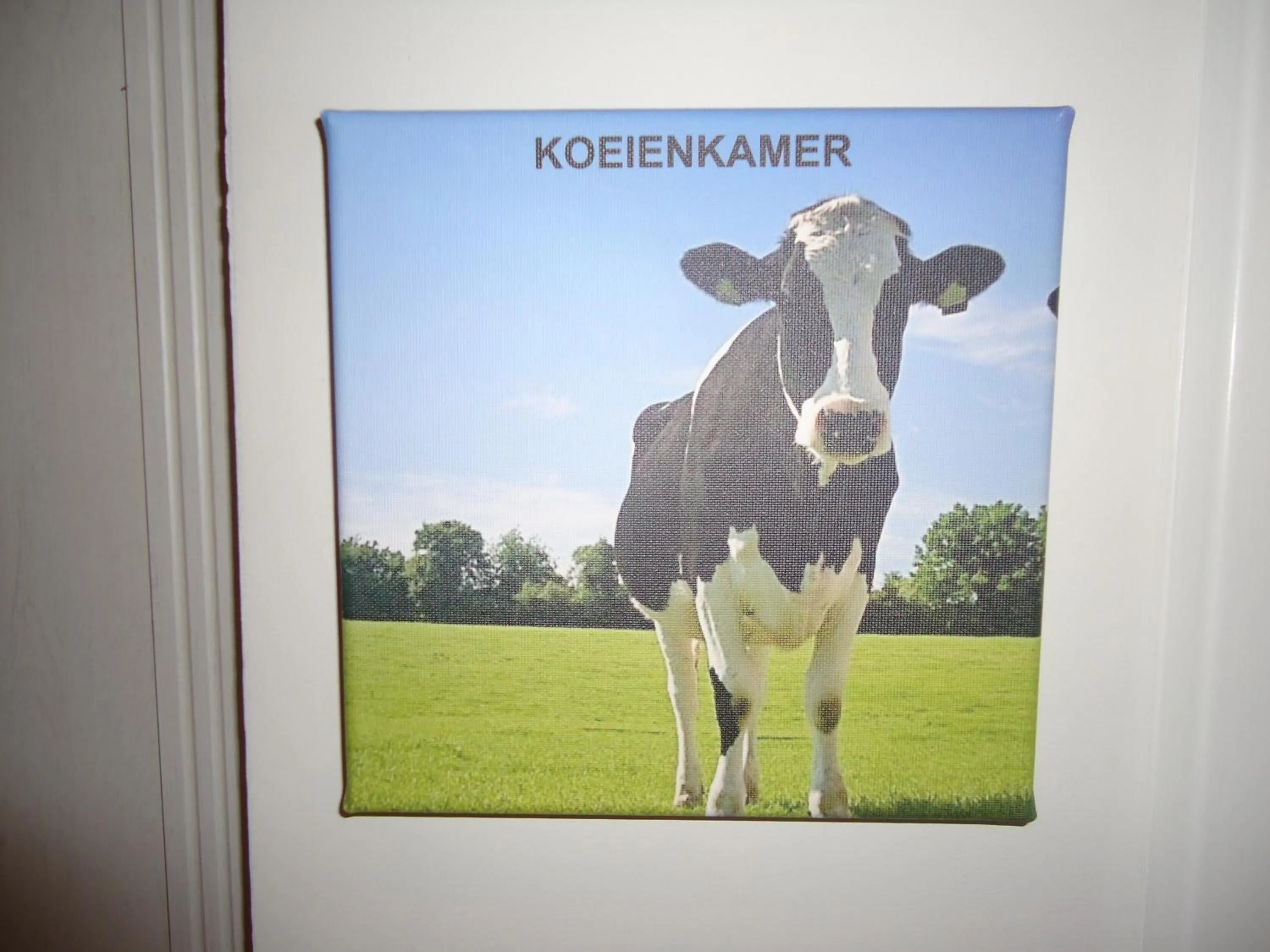 B&B Morskershoeve