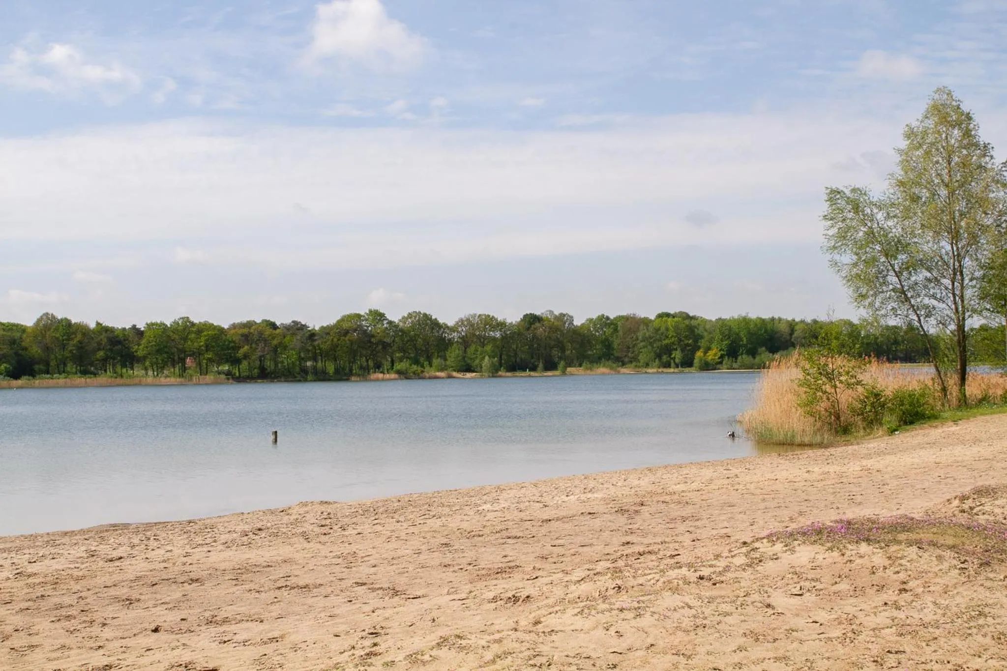 Beach in B&B Morskershoeve