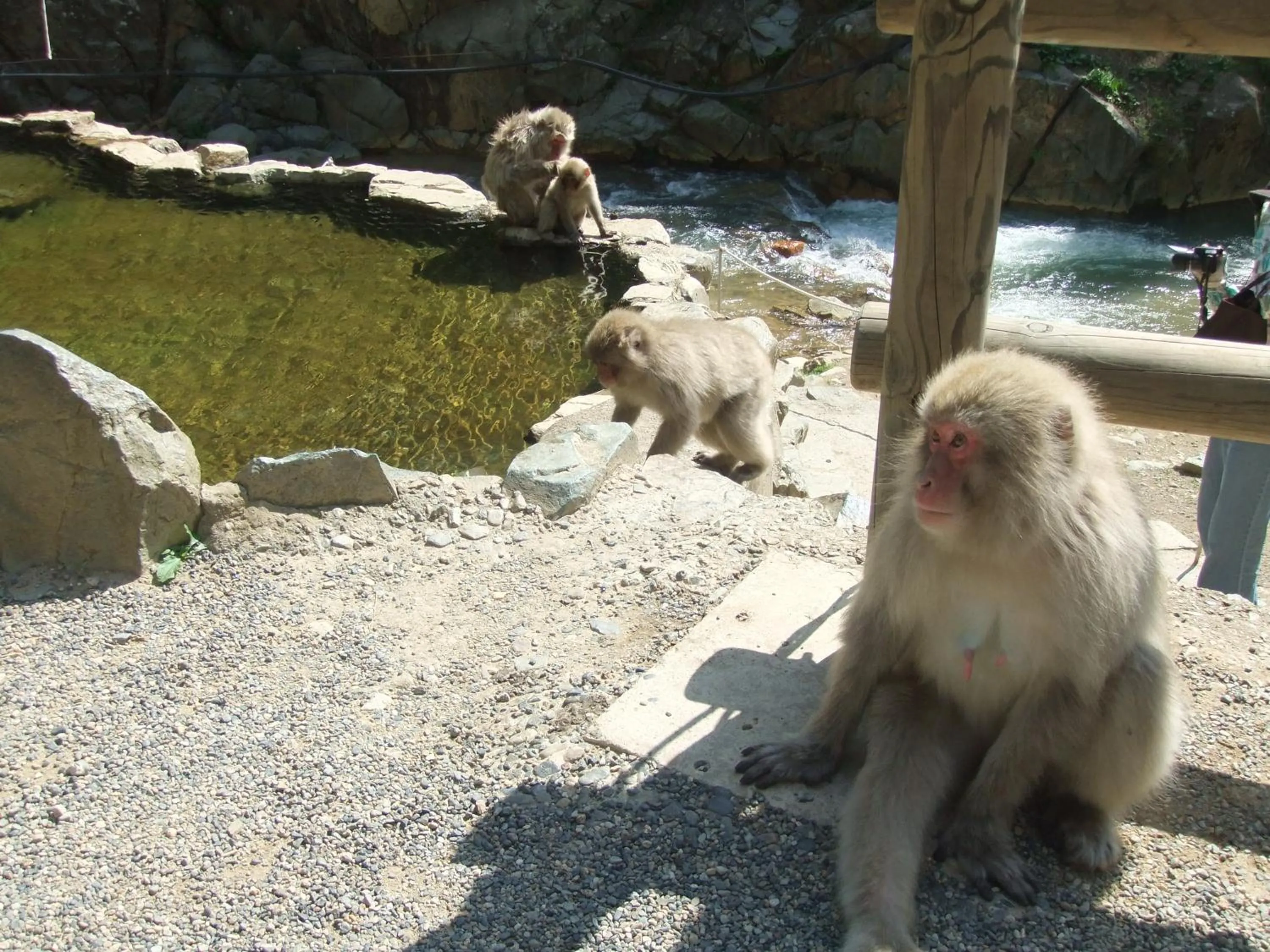 Nearby landmark in Shiga Park Hotel