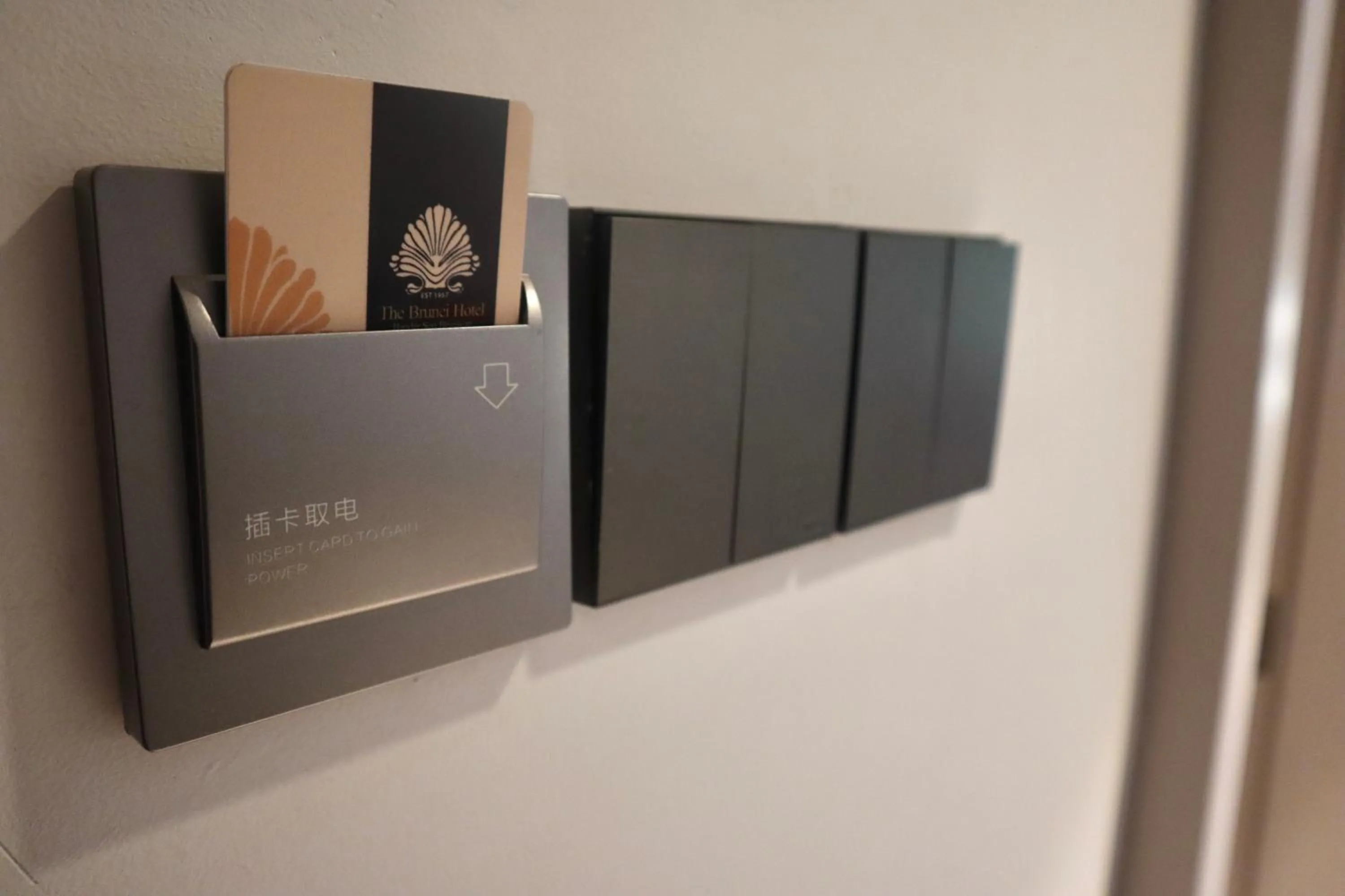 Facility for disabled guests in The Brunei Hotel