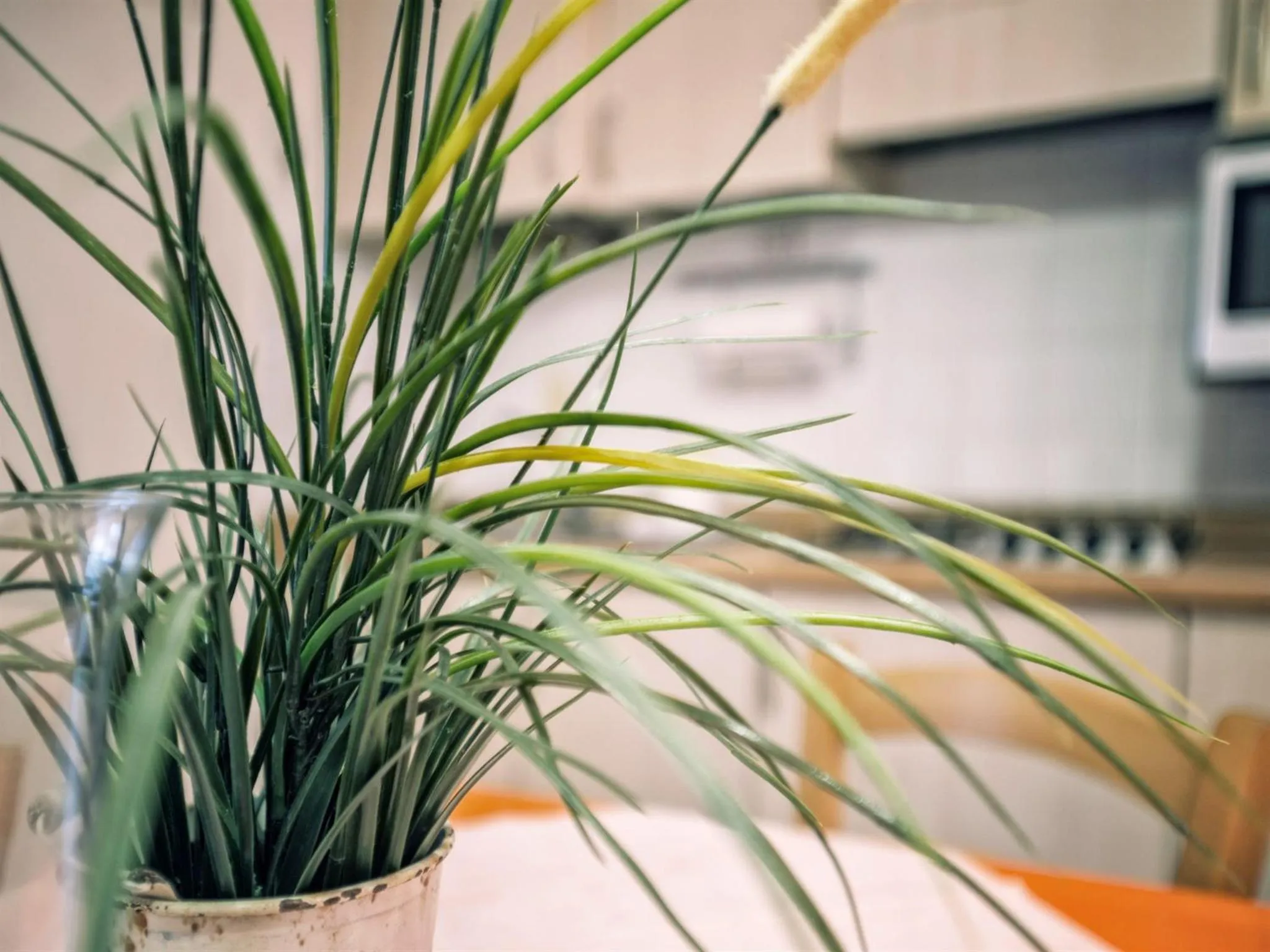 Dining area in Residence Villa Piani