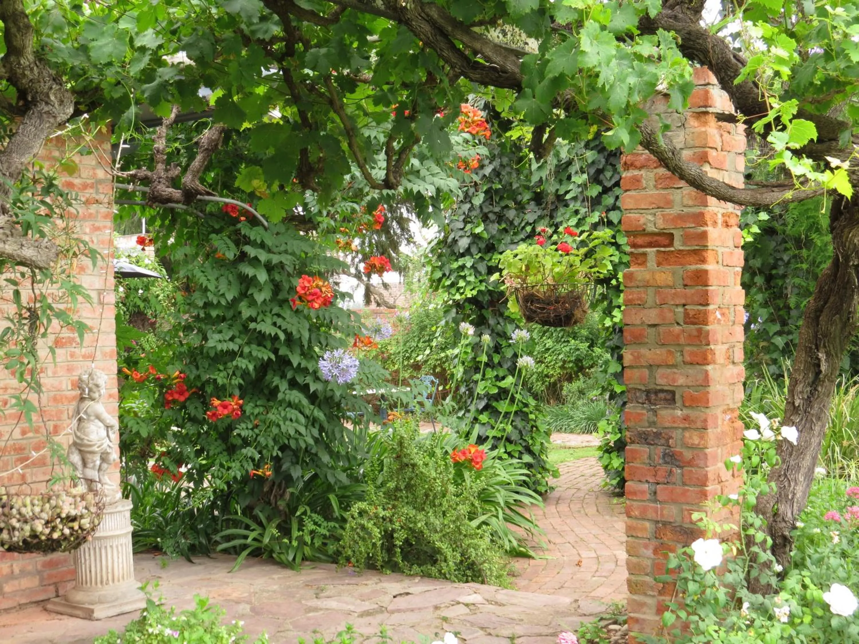 Spring in Gerald's Gift Guest House