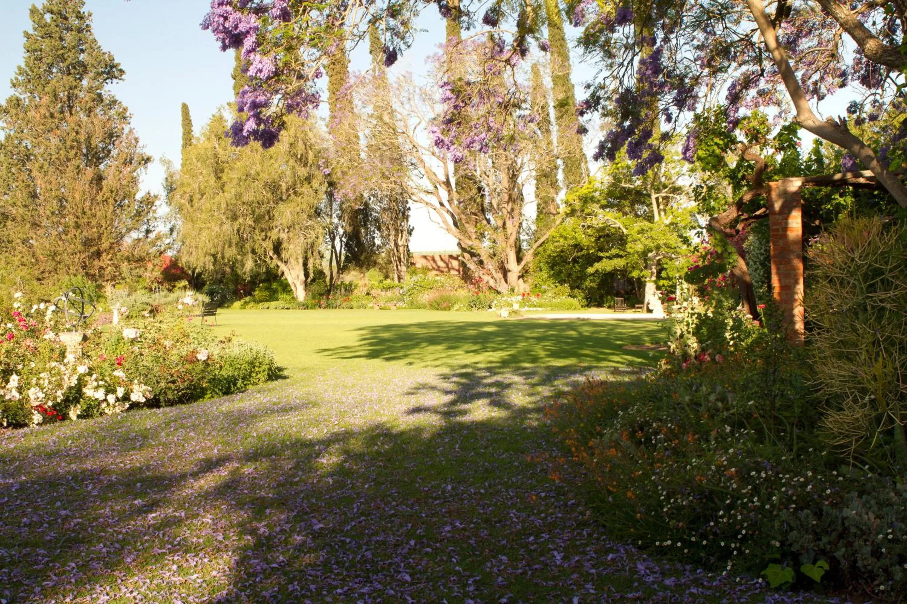Garden in Gerald's Gift Guest House