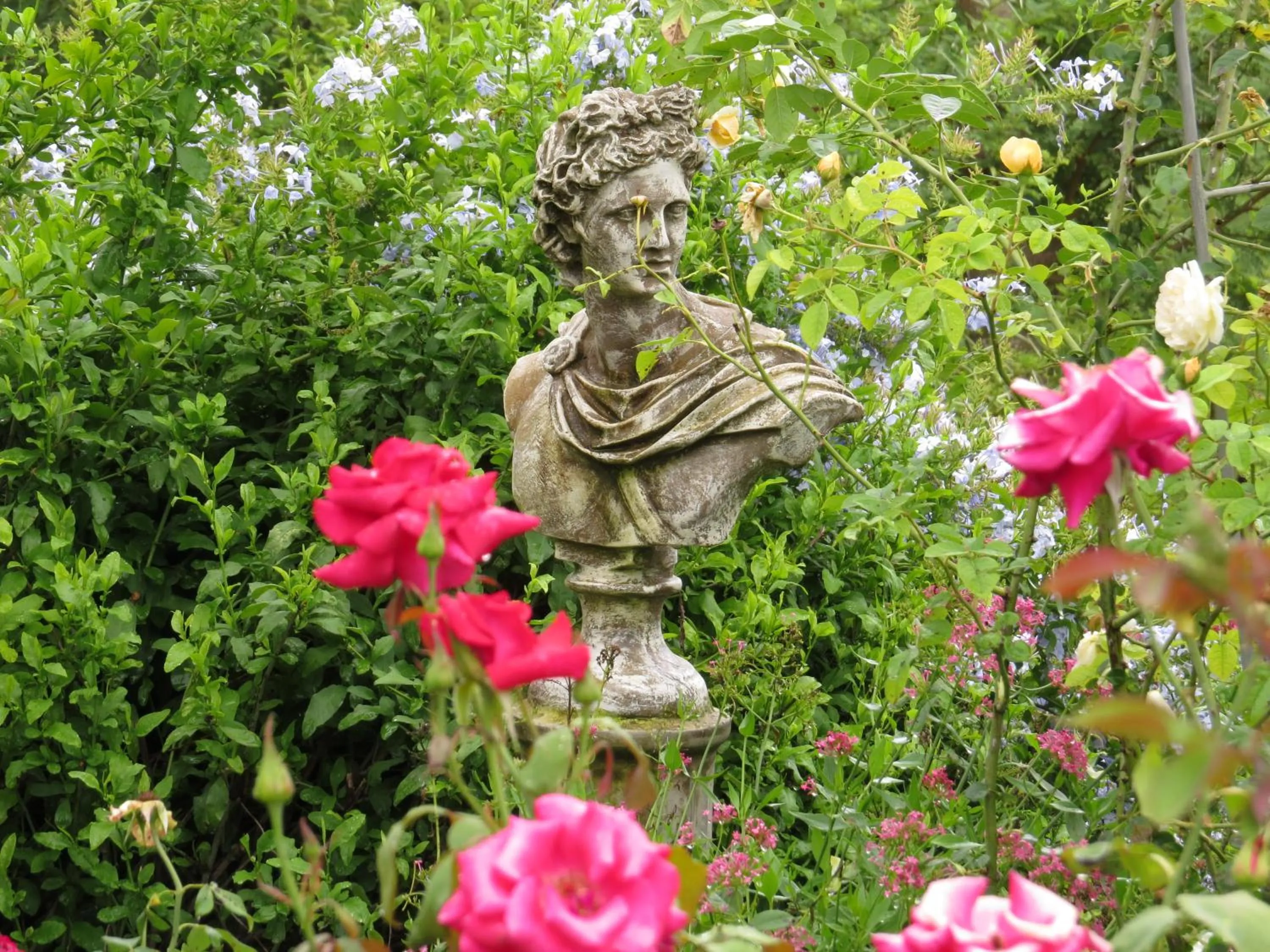 Spring in Gerald's Gift Guest House