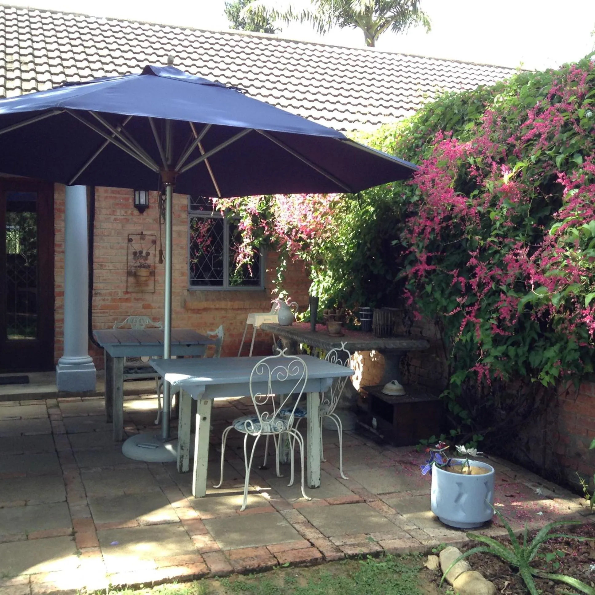 Garden in Gerald's Gift Guest House