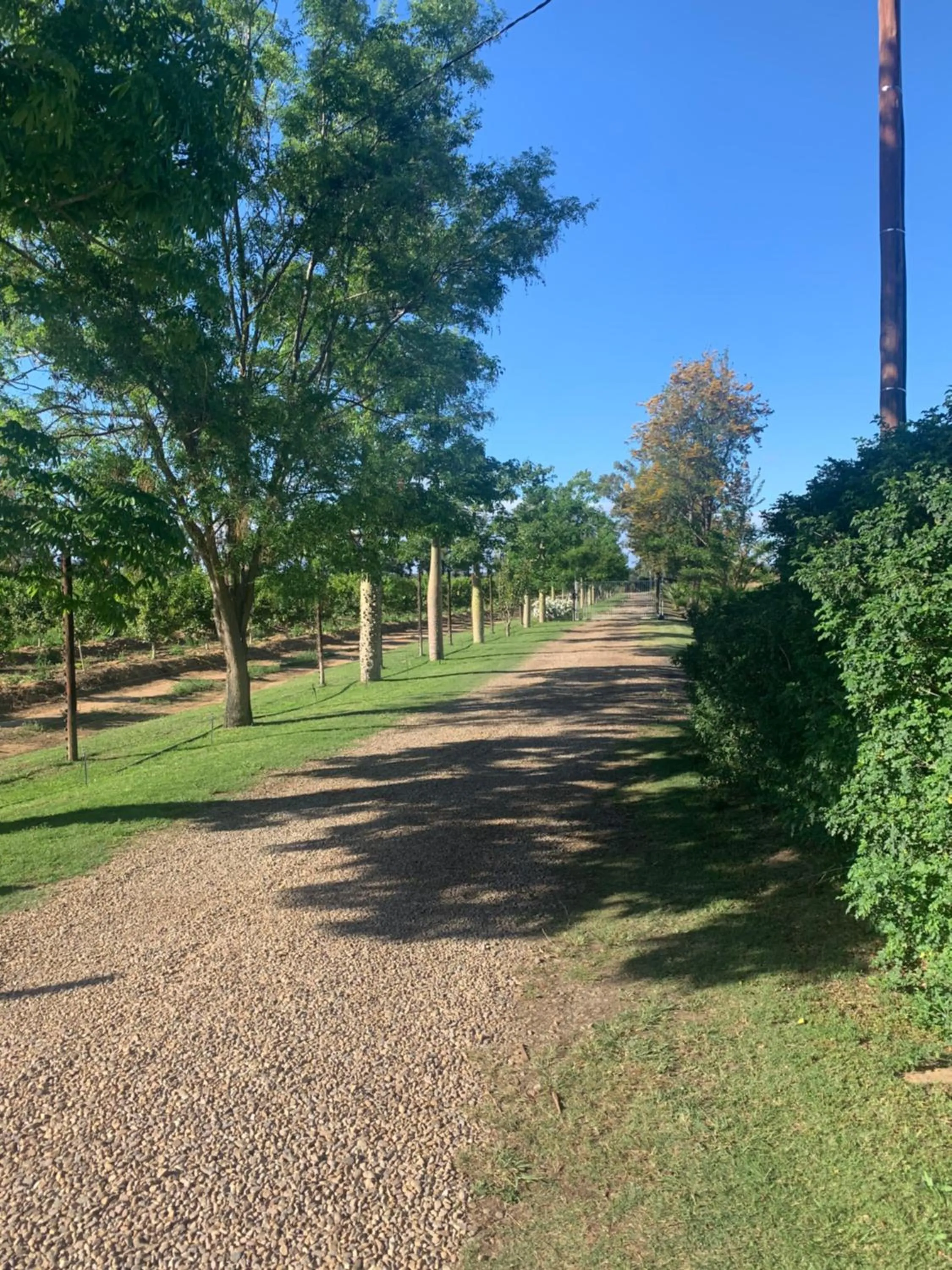 Garden in Gerald's Gift Guest House