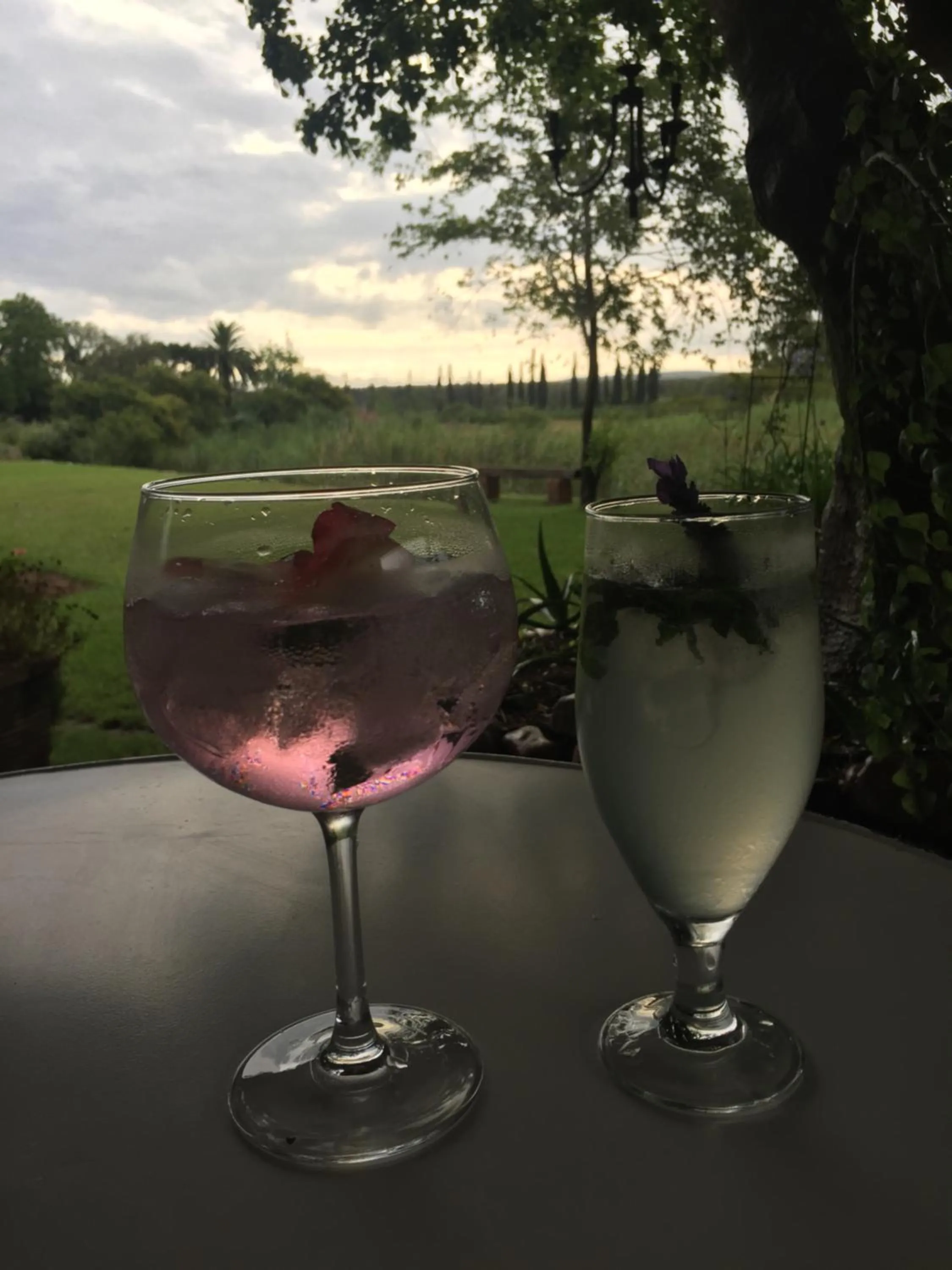 Alcoholic drinks in Gerald's Gift Guest House