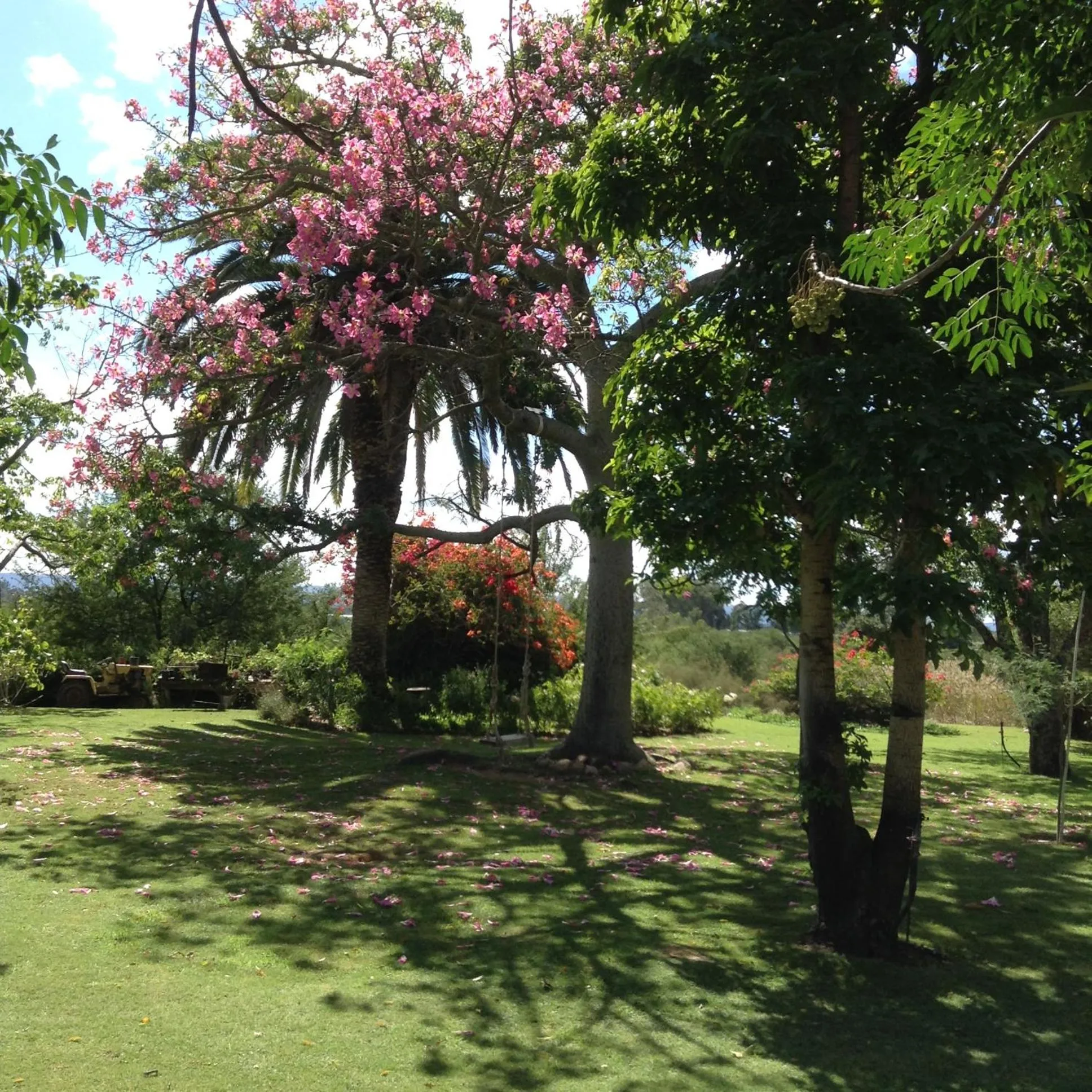 Garden in Gerald's Gift Guest House