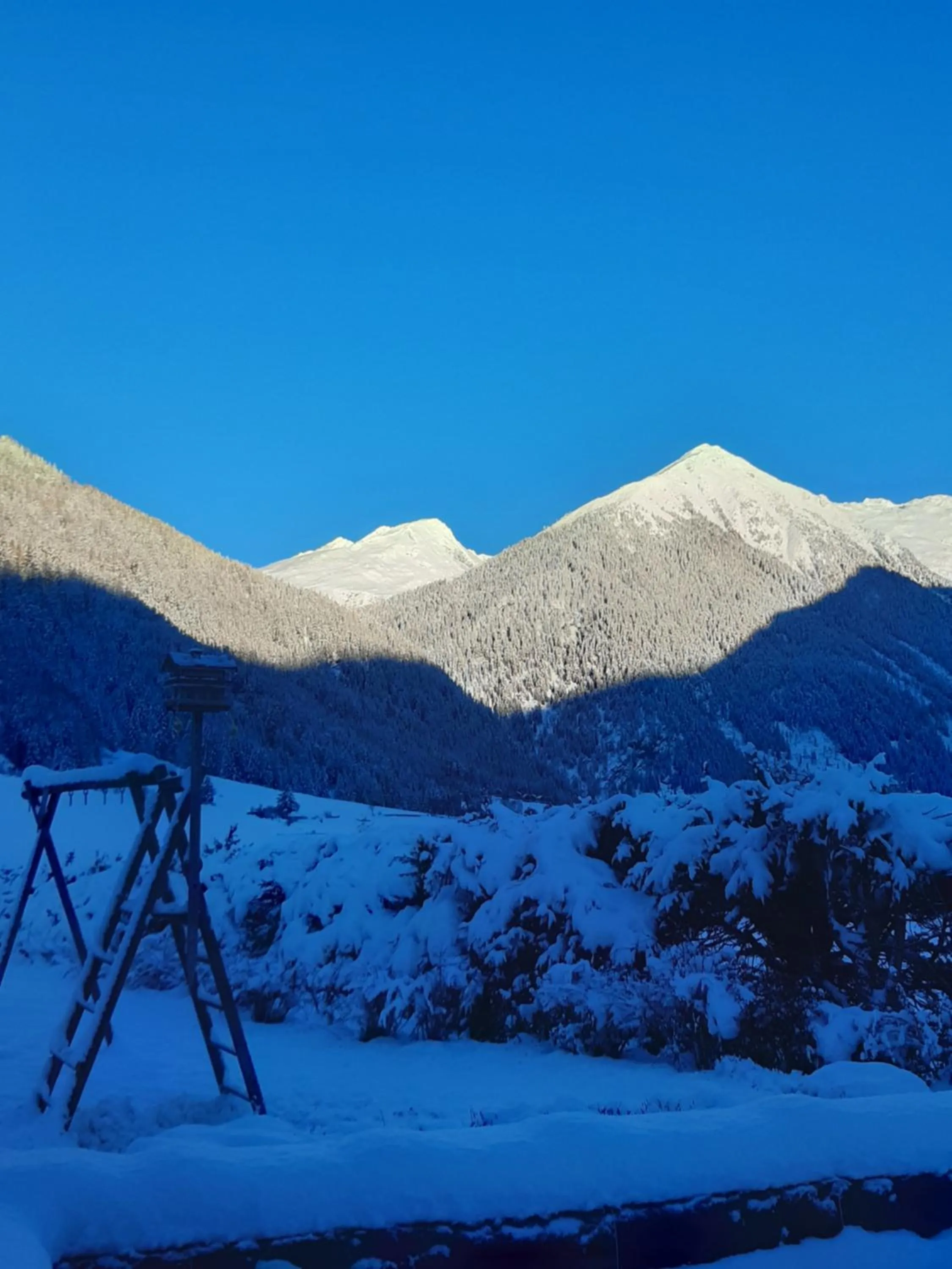 Skiing in Hotel Pension Oswald
