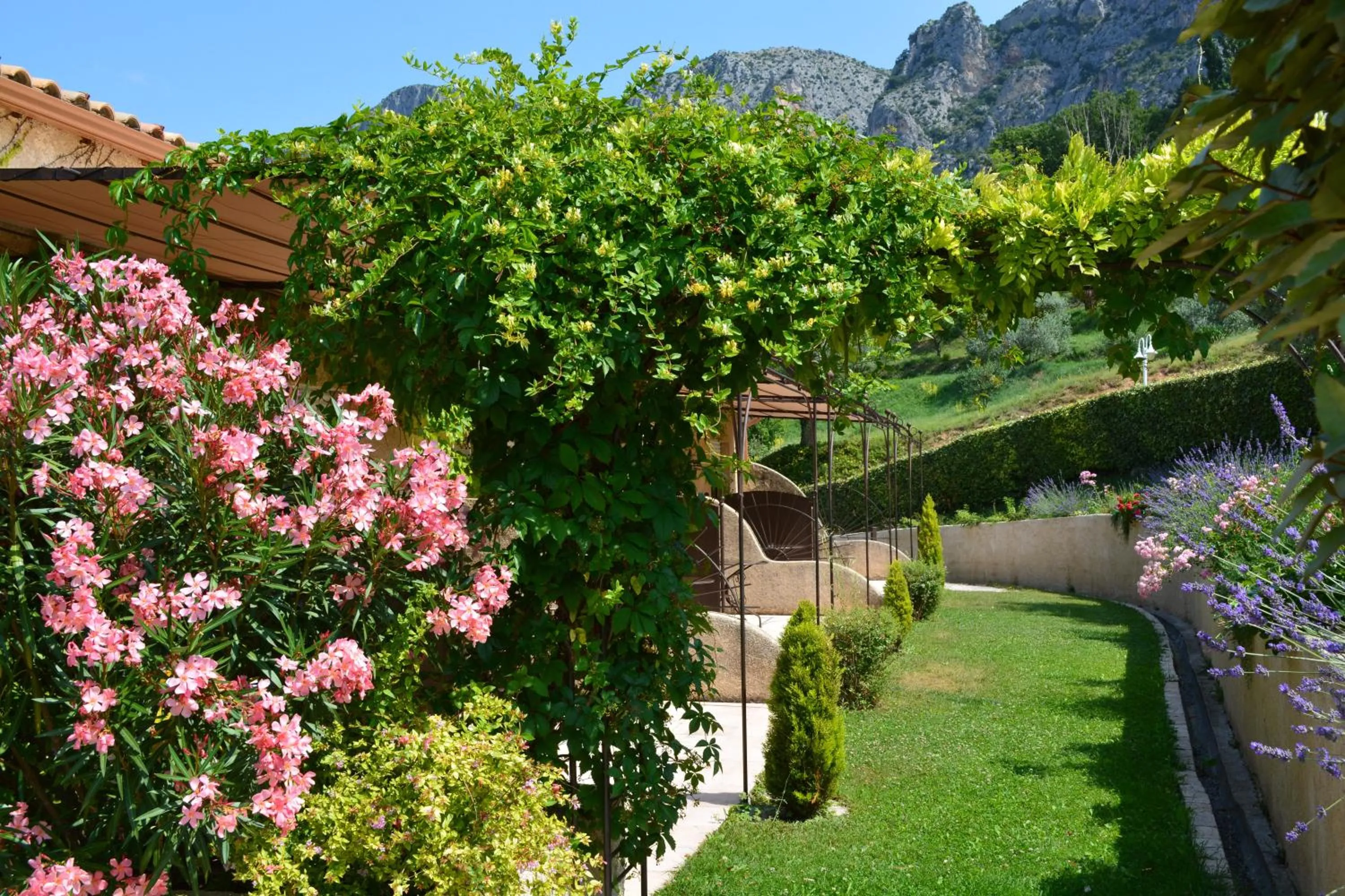 Garden in Hôtel Le Colombier