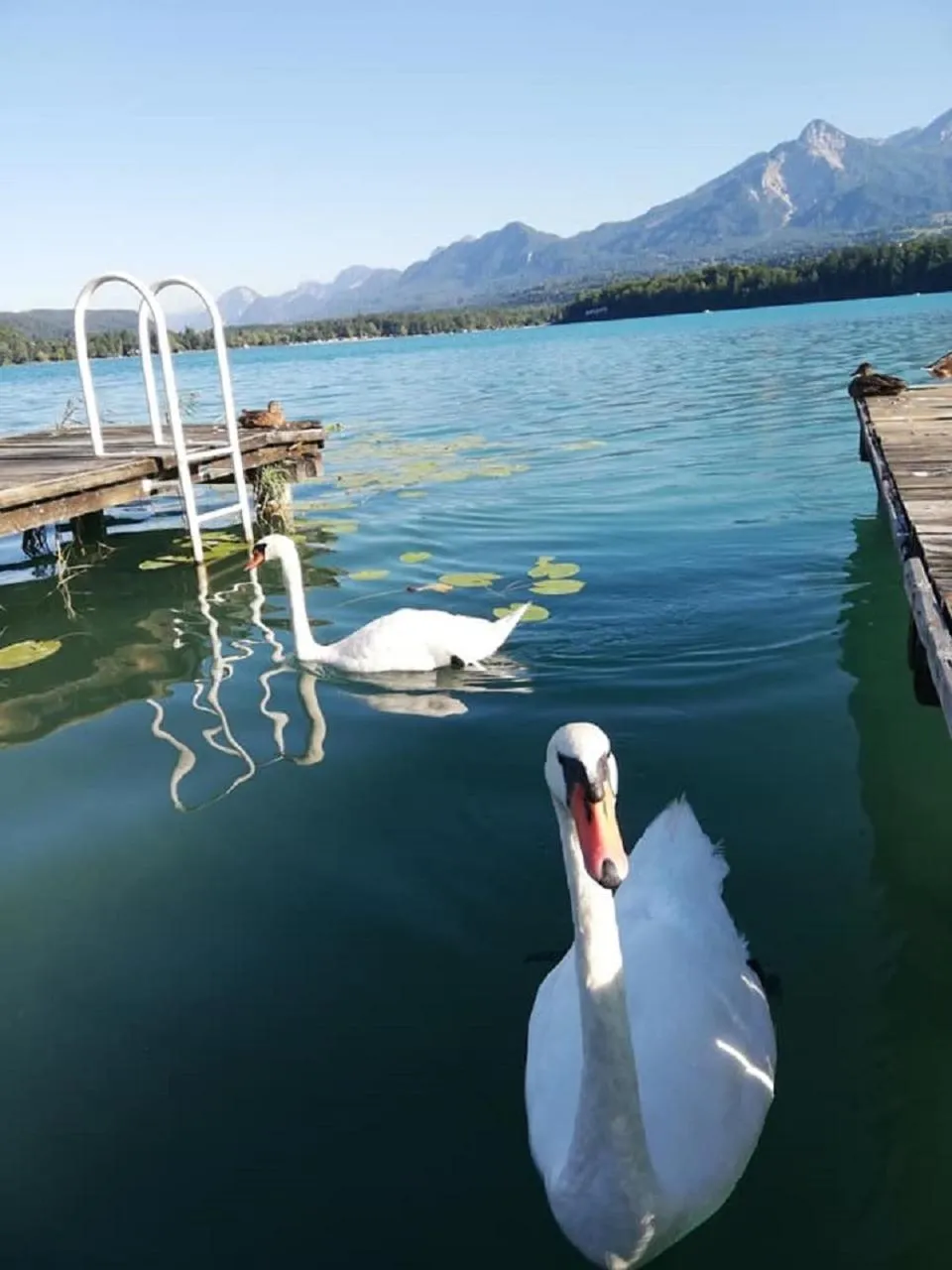 Beach in Hotel Schönruh
