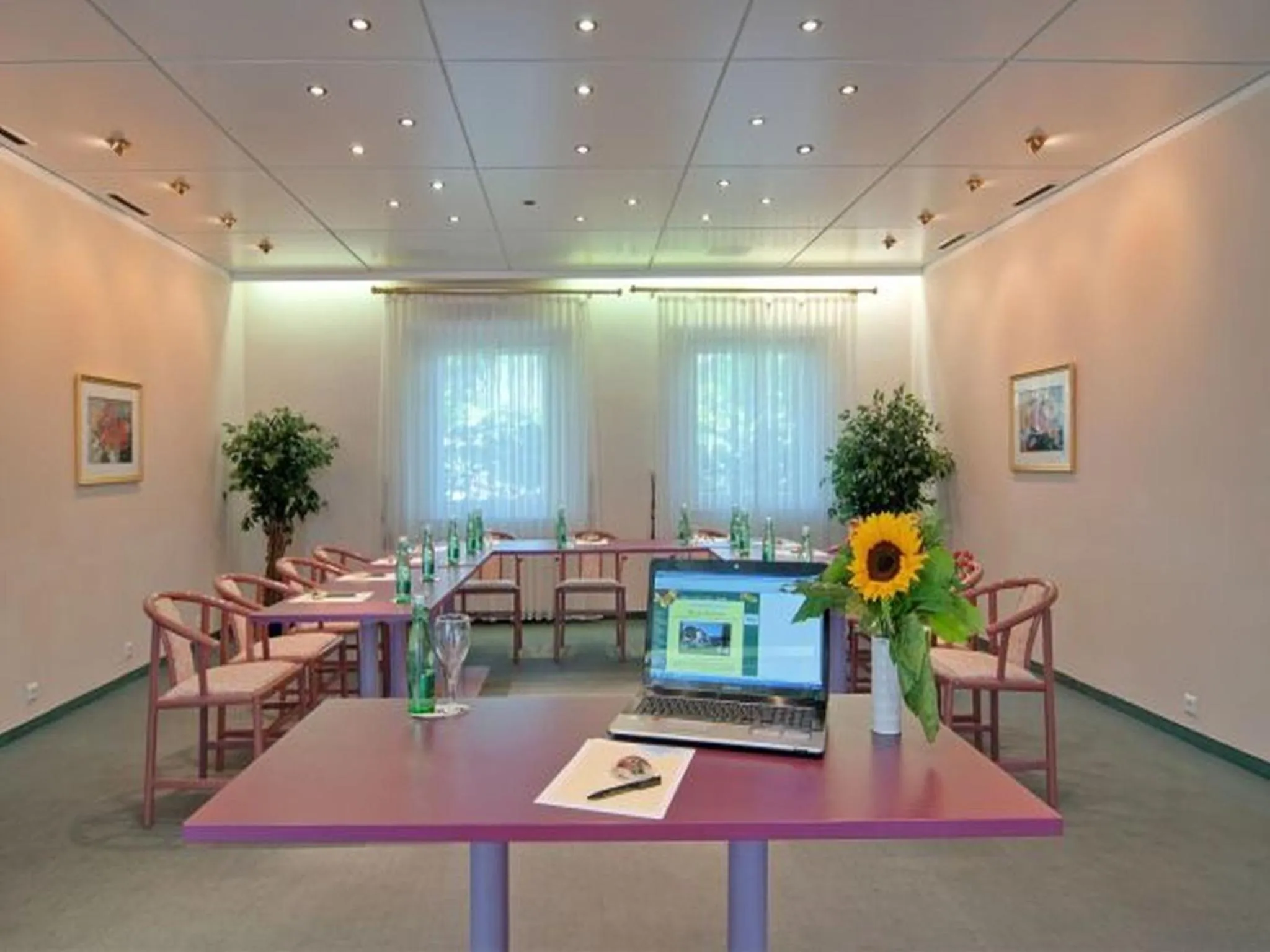 Business facilities in Hotel Schönruh