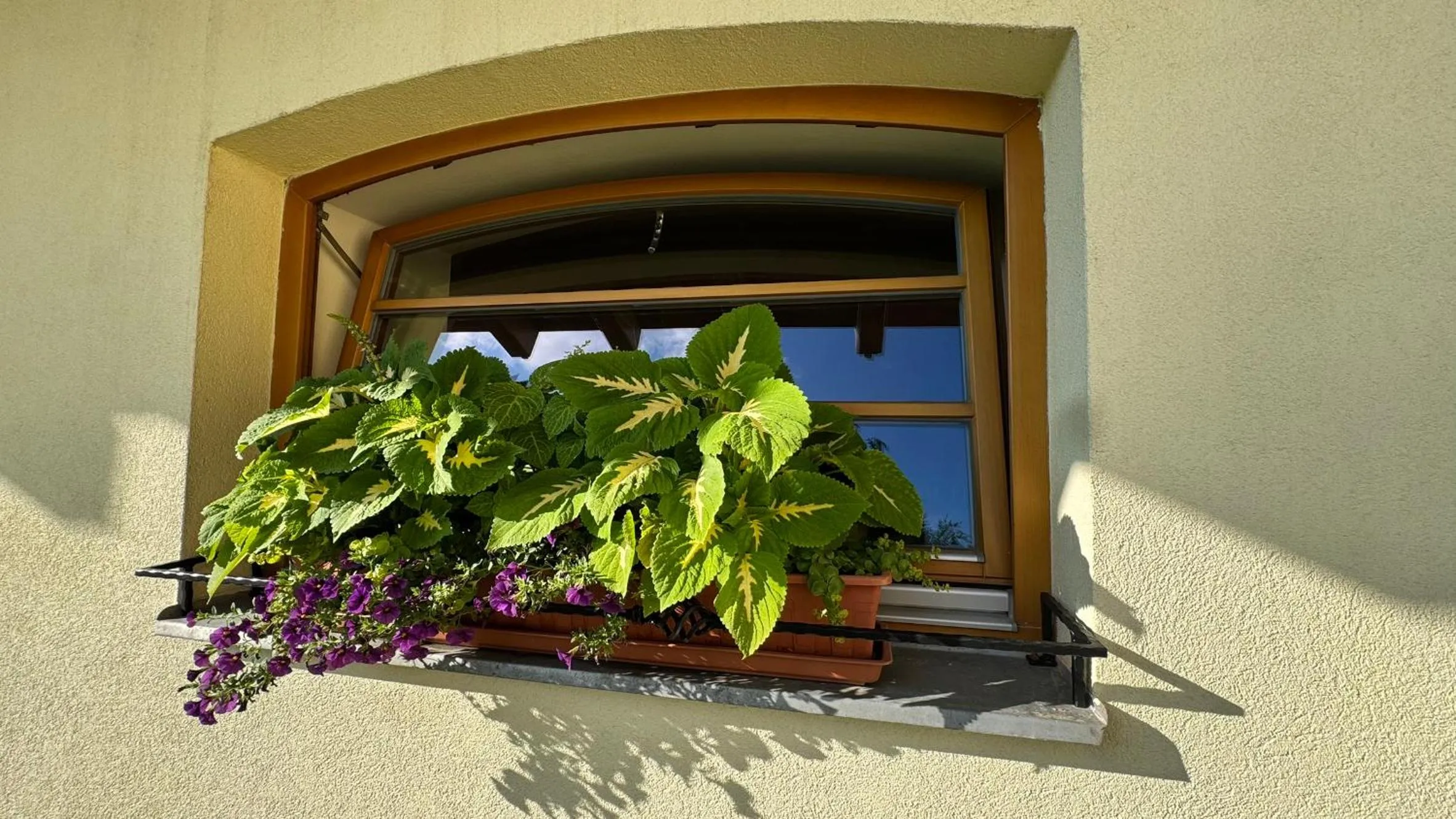 Garden in Relax Hotel Stork