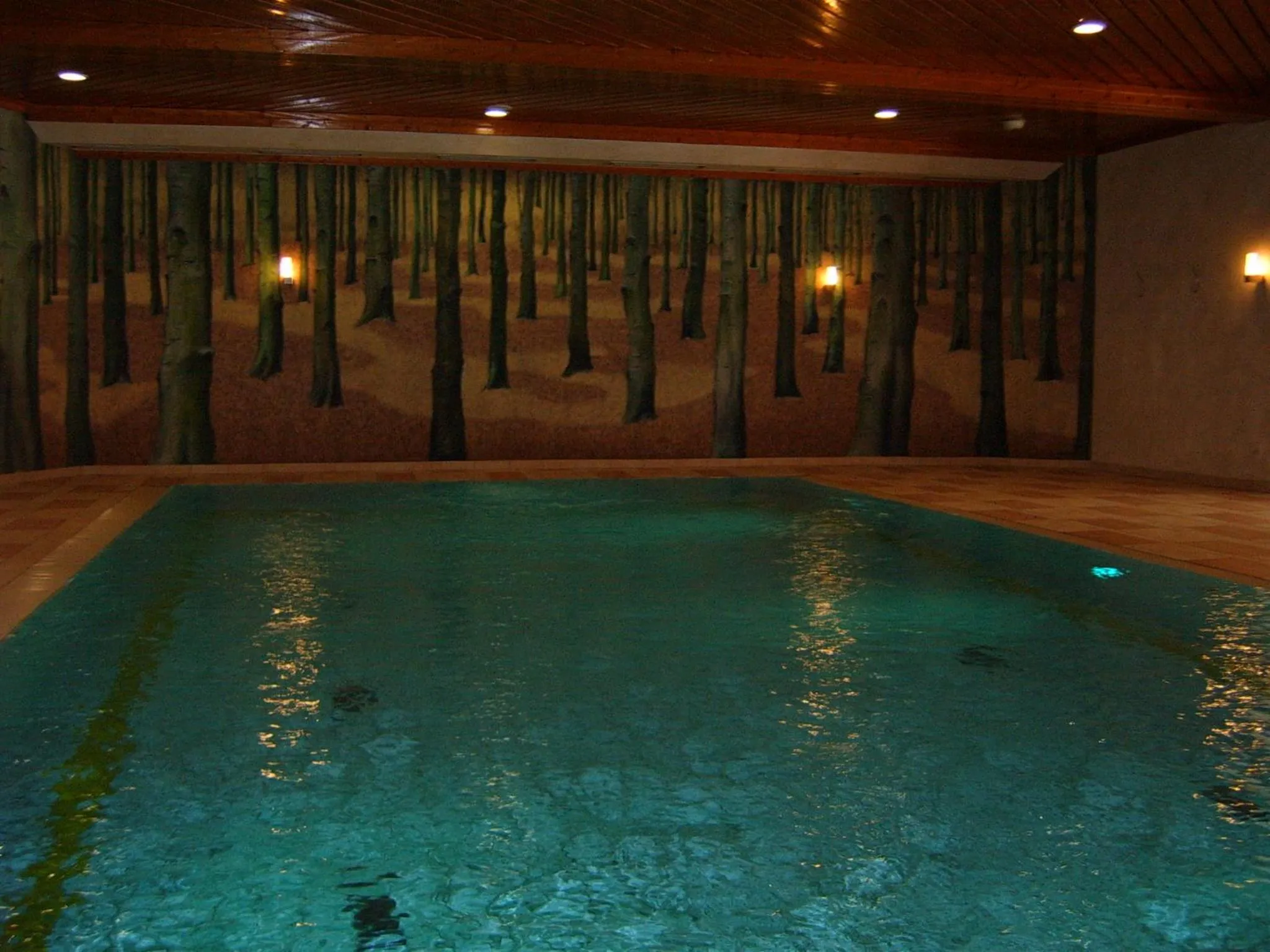 Swimming pool in Hapimag Ferienwohnungen Braunlage
