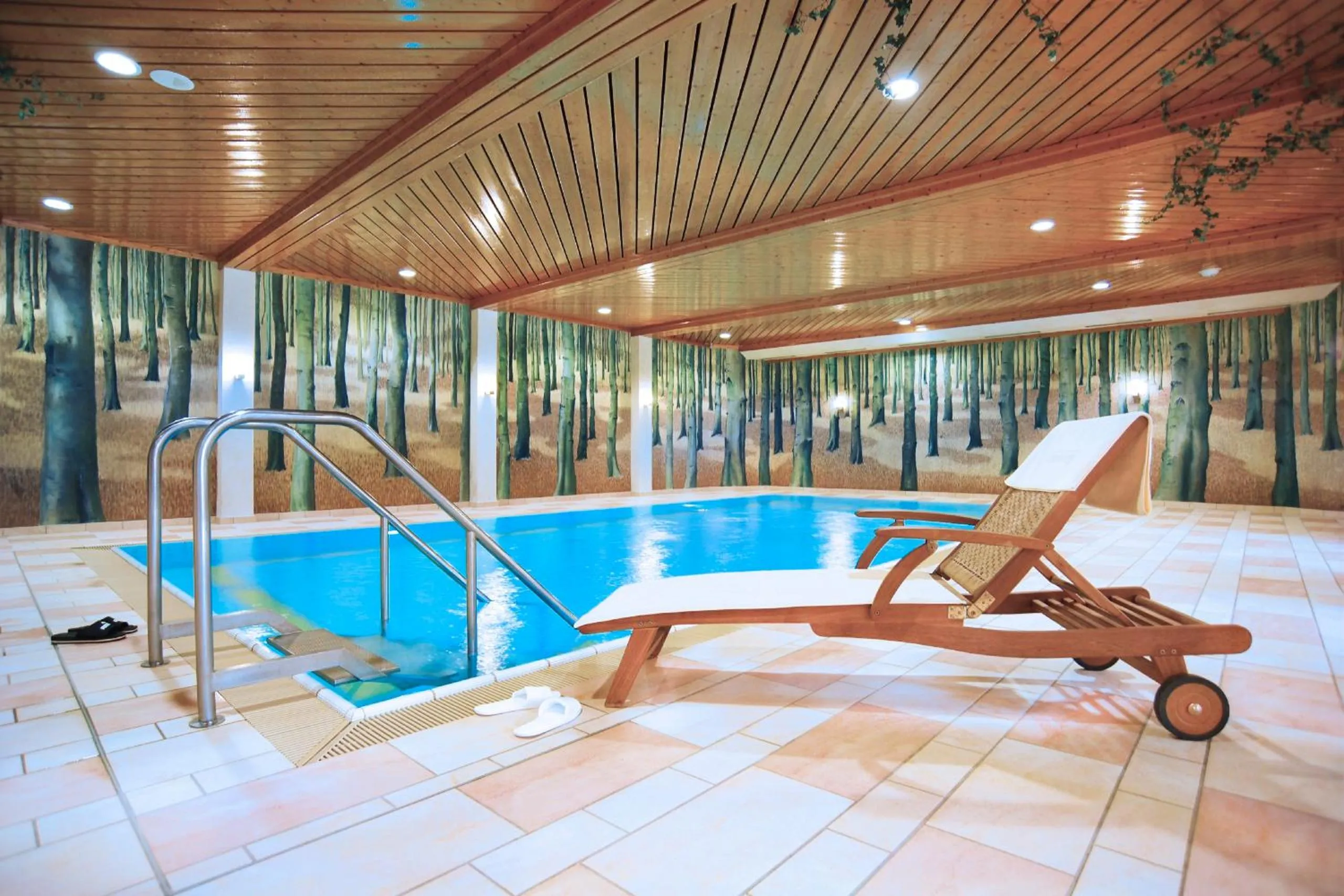Swimming pool in Hapimag Ferienwohnungen Braunlage