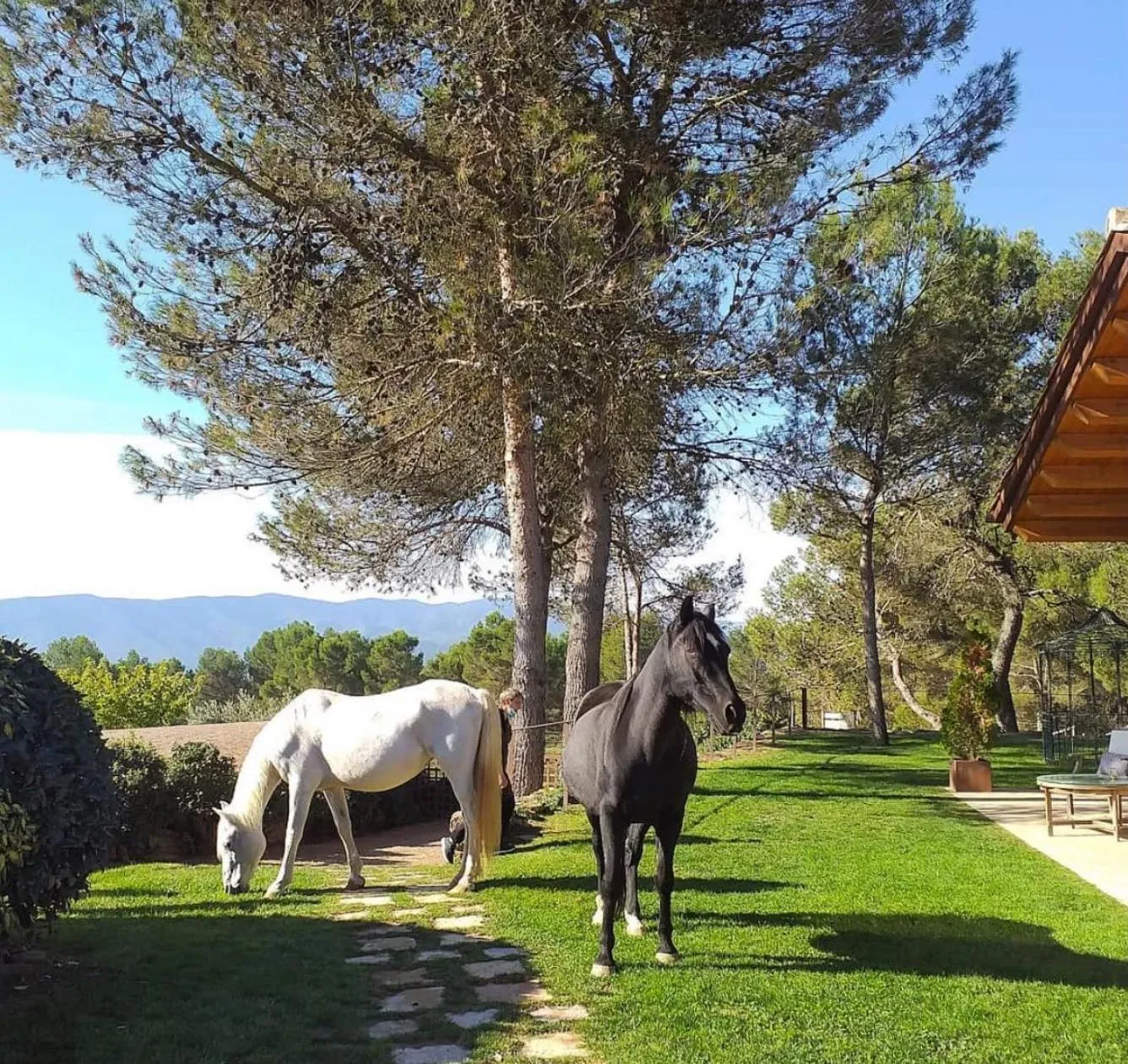 Horse-riding in La Garriga de Castelladral