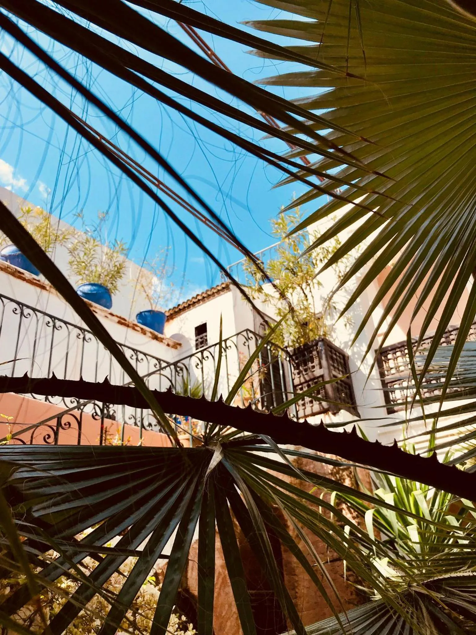 Patio in Riad Rockech