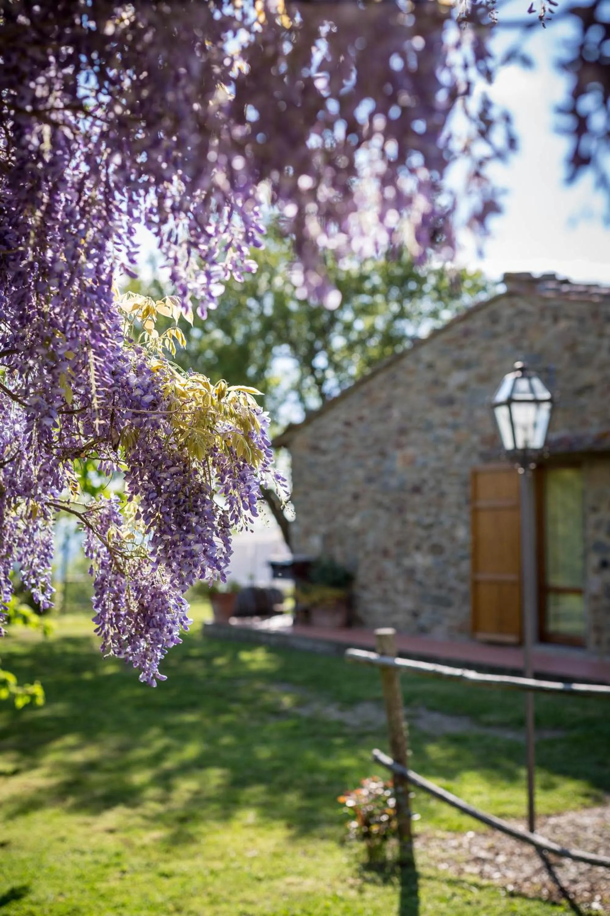 Garden in Le Cetinelle