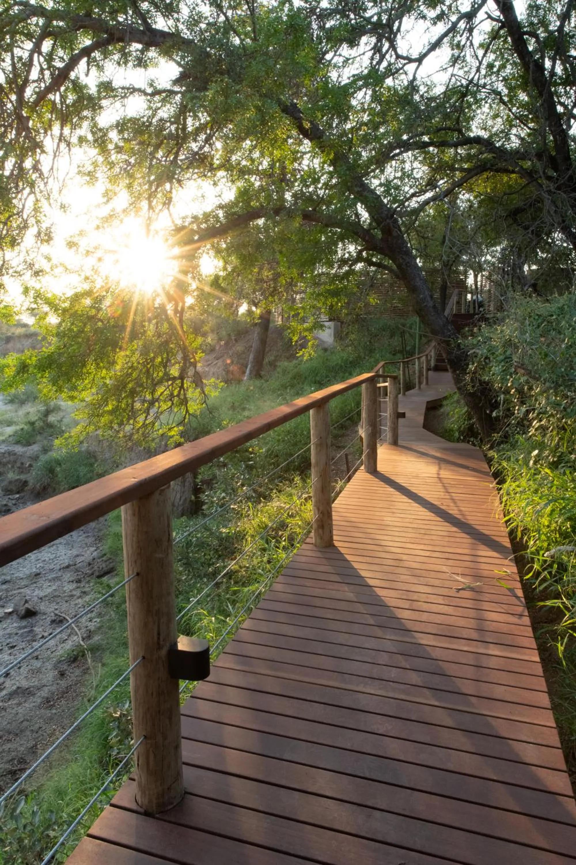 Balcony/Terrace in Nyala Safari Lodge