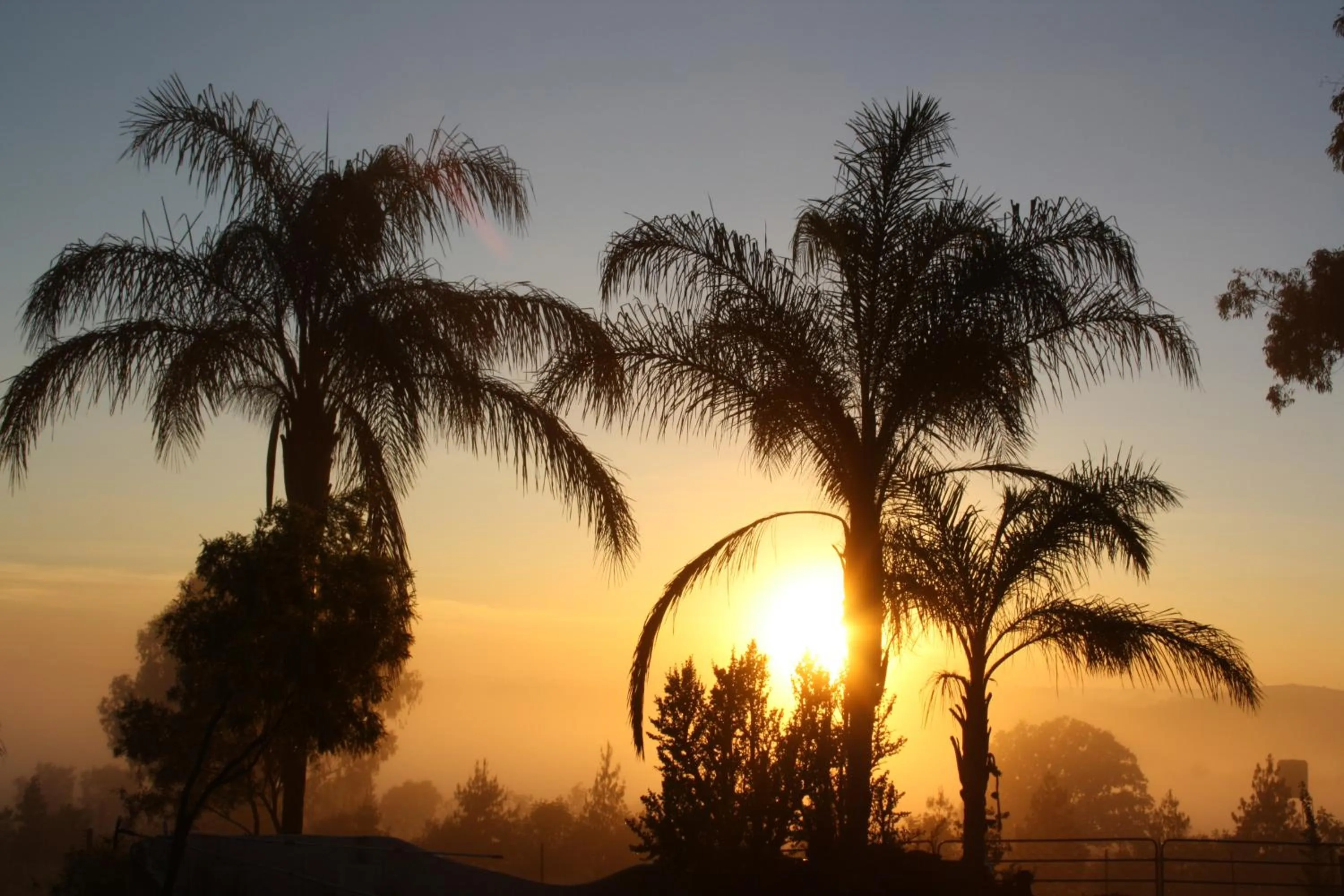 Garden view in Misty Morn Cottages