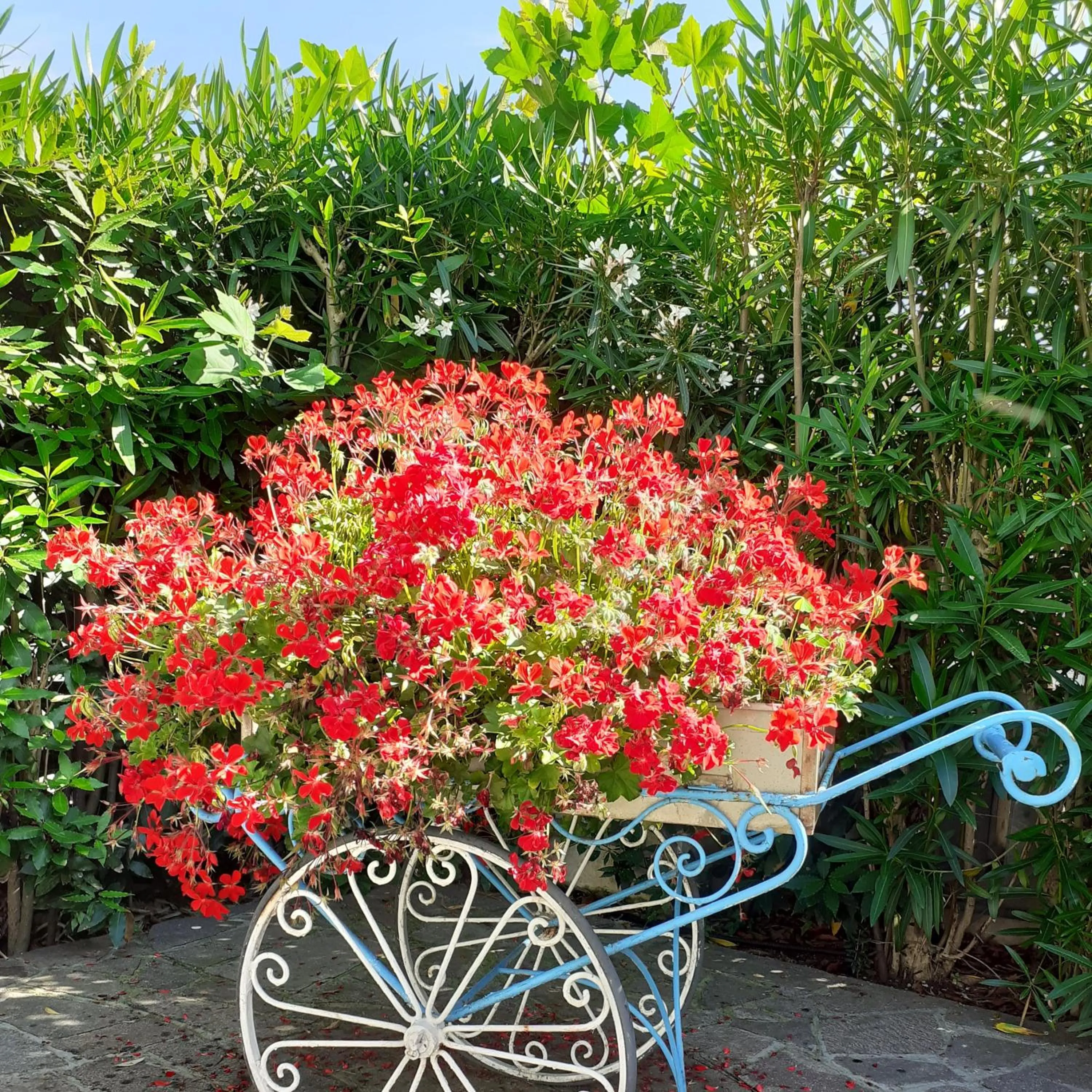 Garden in Hotel Garden B&B