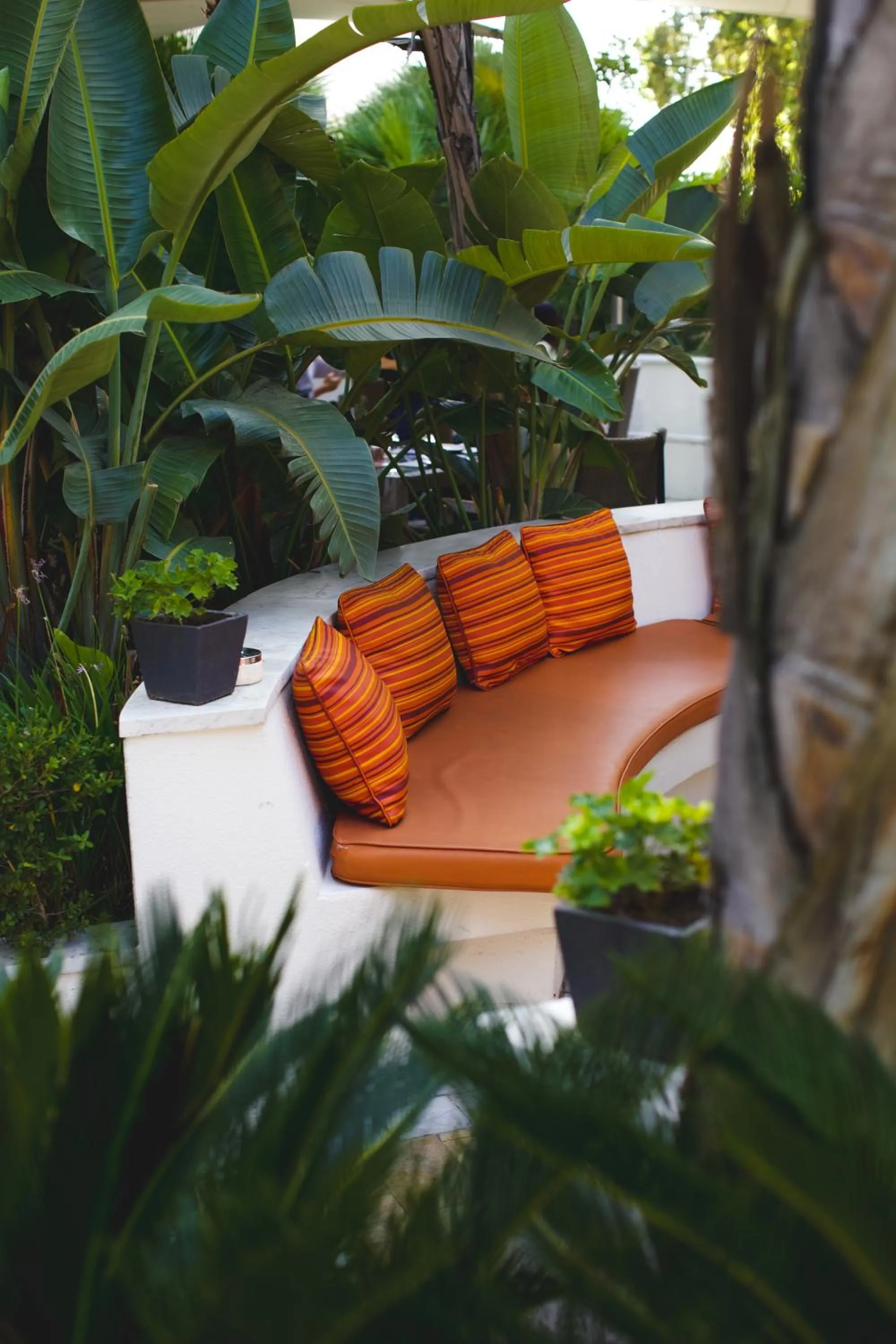 Restaurant/places to eat in Four Seasons Hotel Buenos Aires