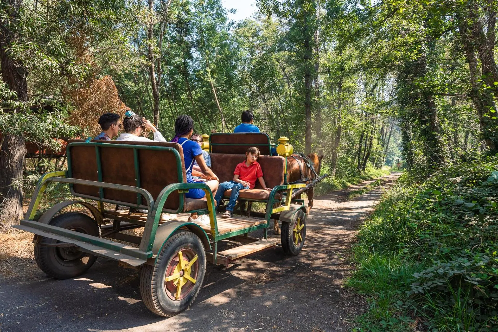 Hotel Salto Del Laja