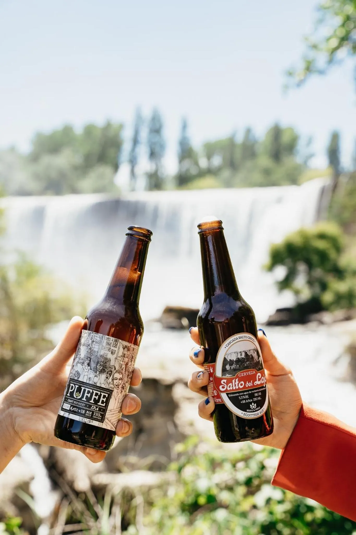 Hotel Salto Del Laja