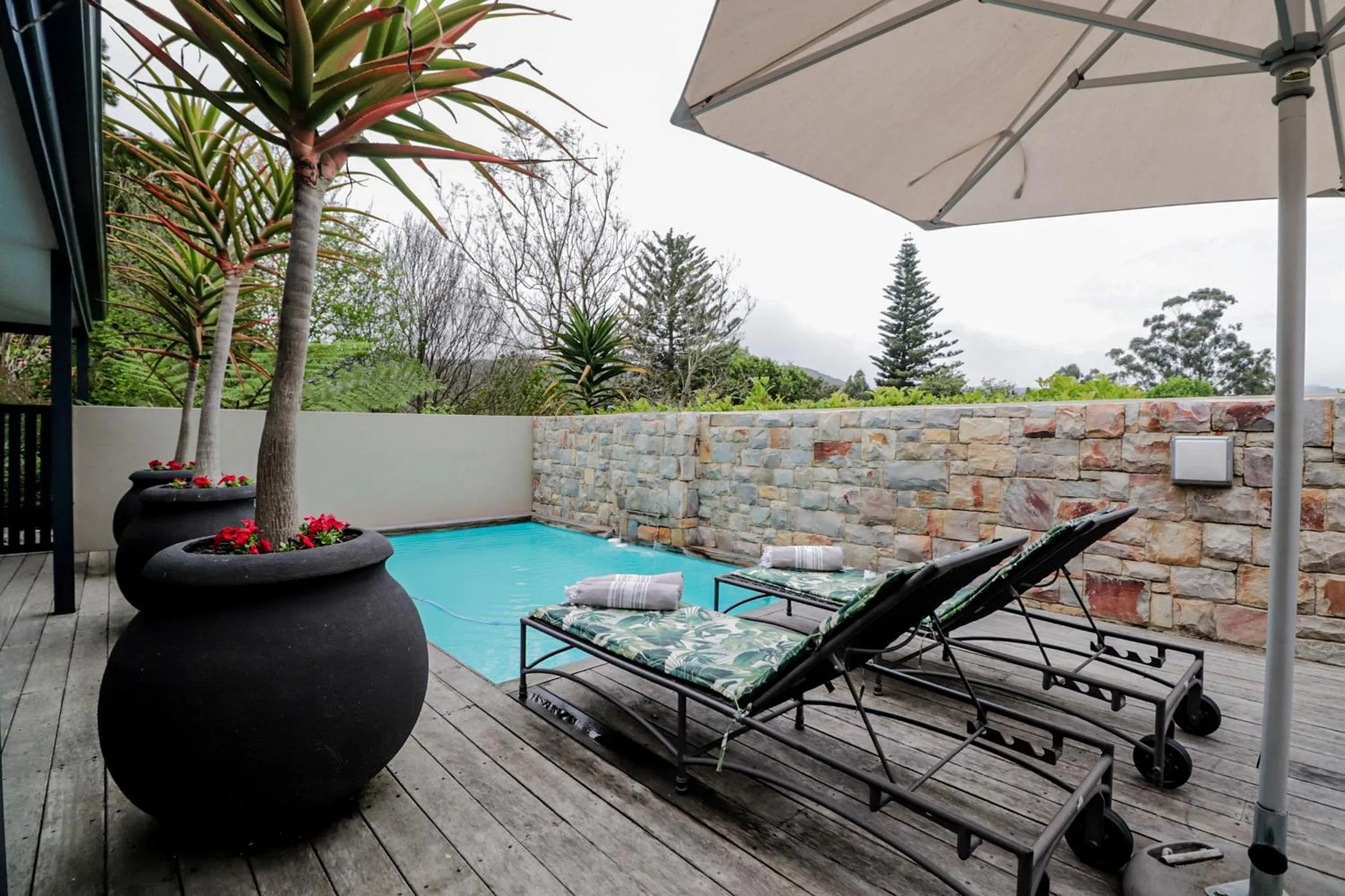 Day in The Greens Guest House