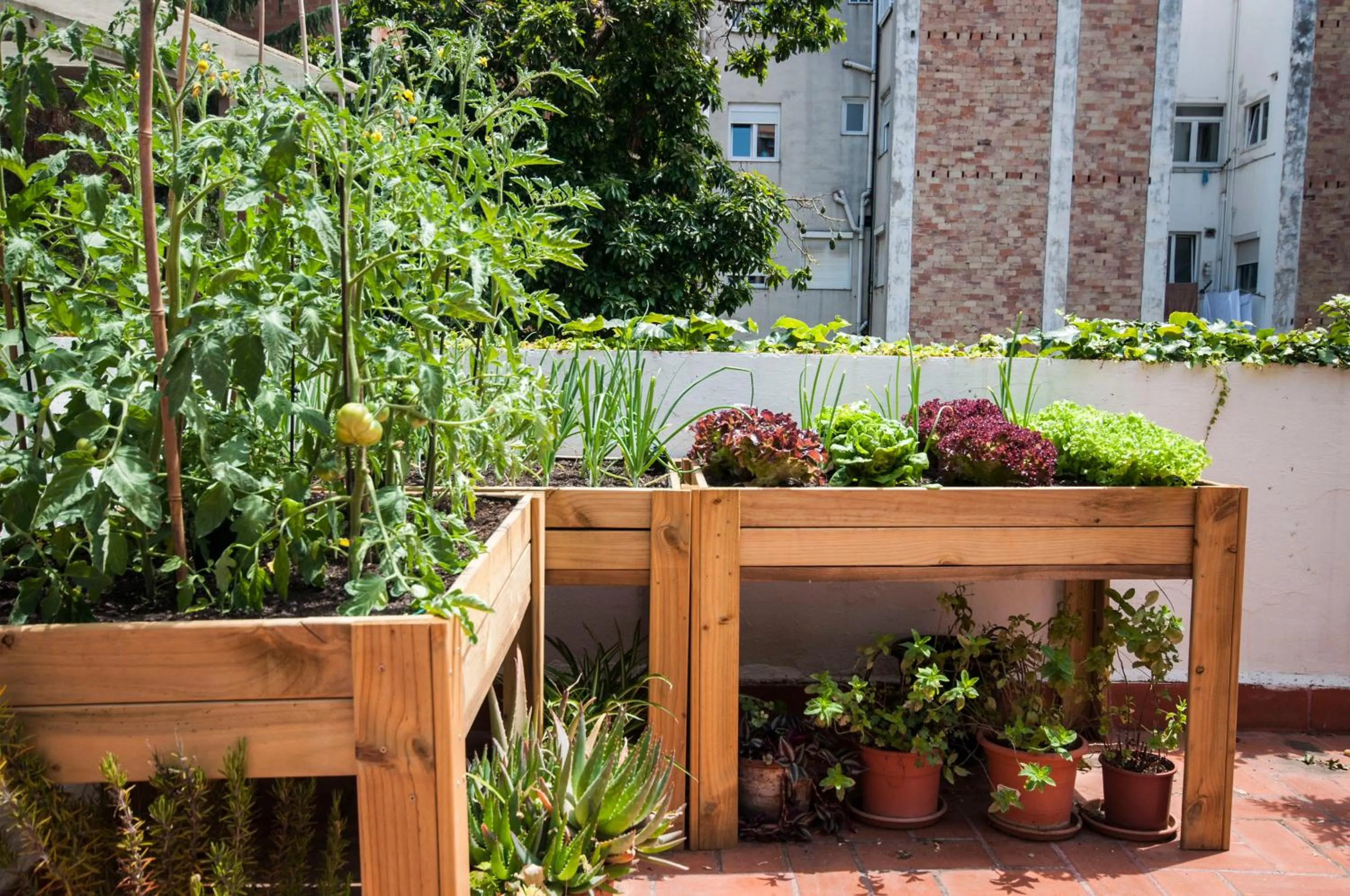 Residencia Albergue Studio