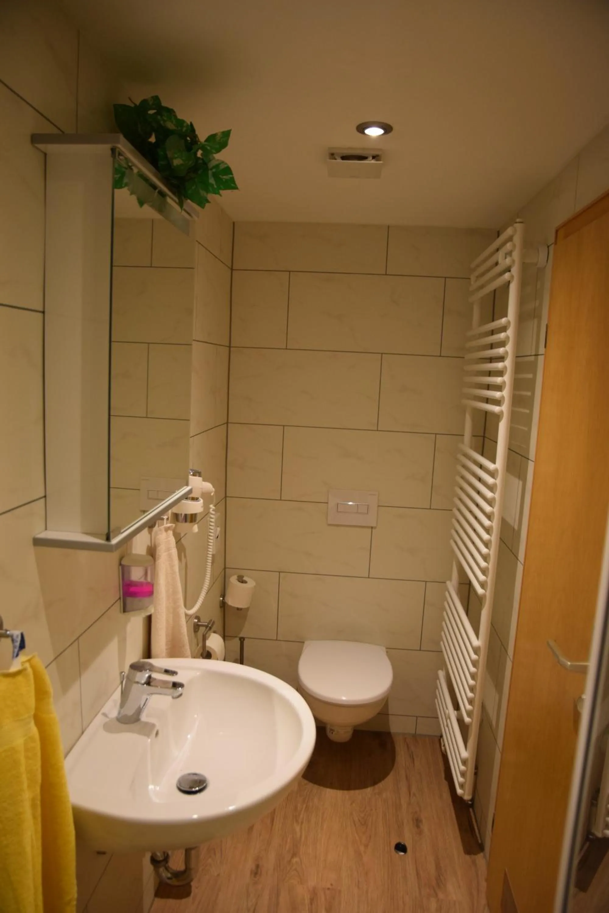 Toilet in Landhotel Steigerwaldhaus