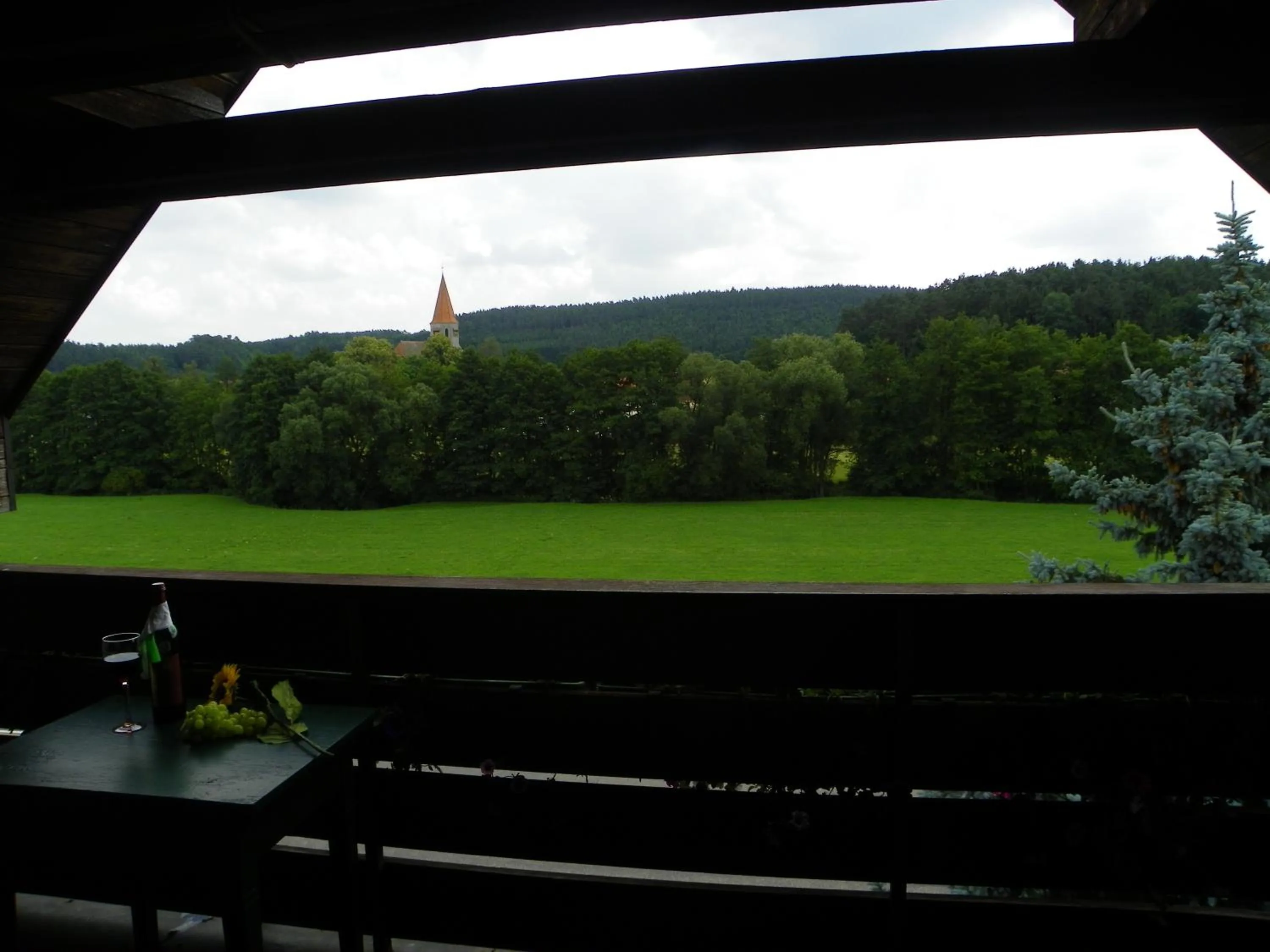 View (from property/room) in Landhotel Steigerwaldhaus