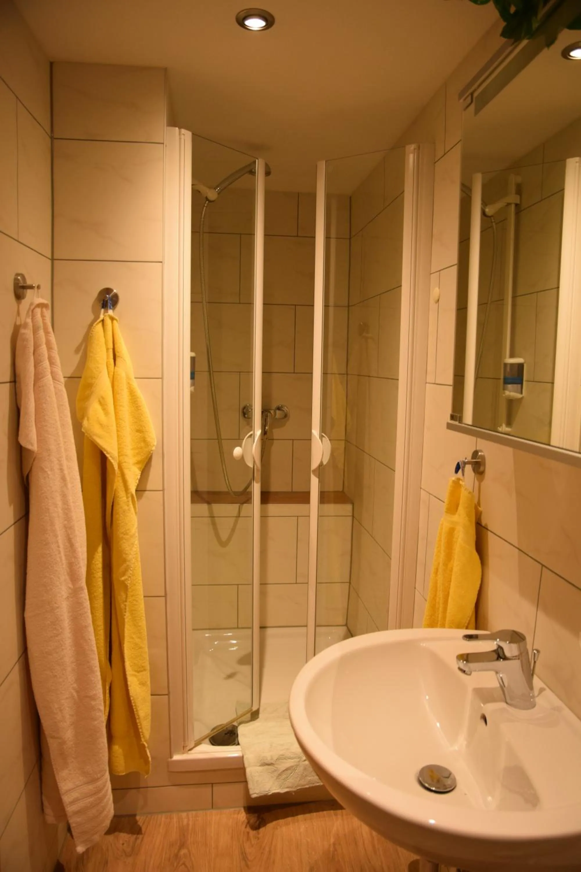 Shower in Landhotel Steigerwaldhaus