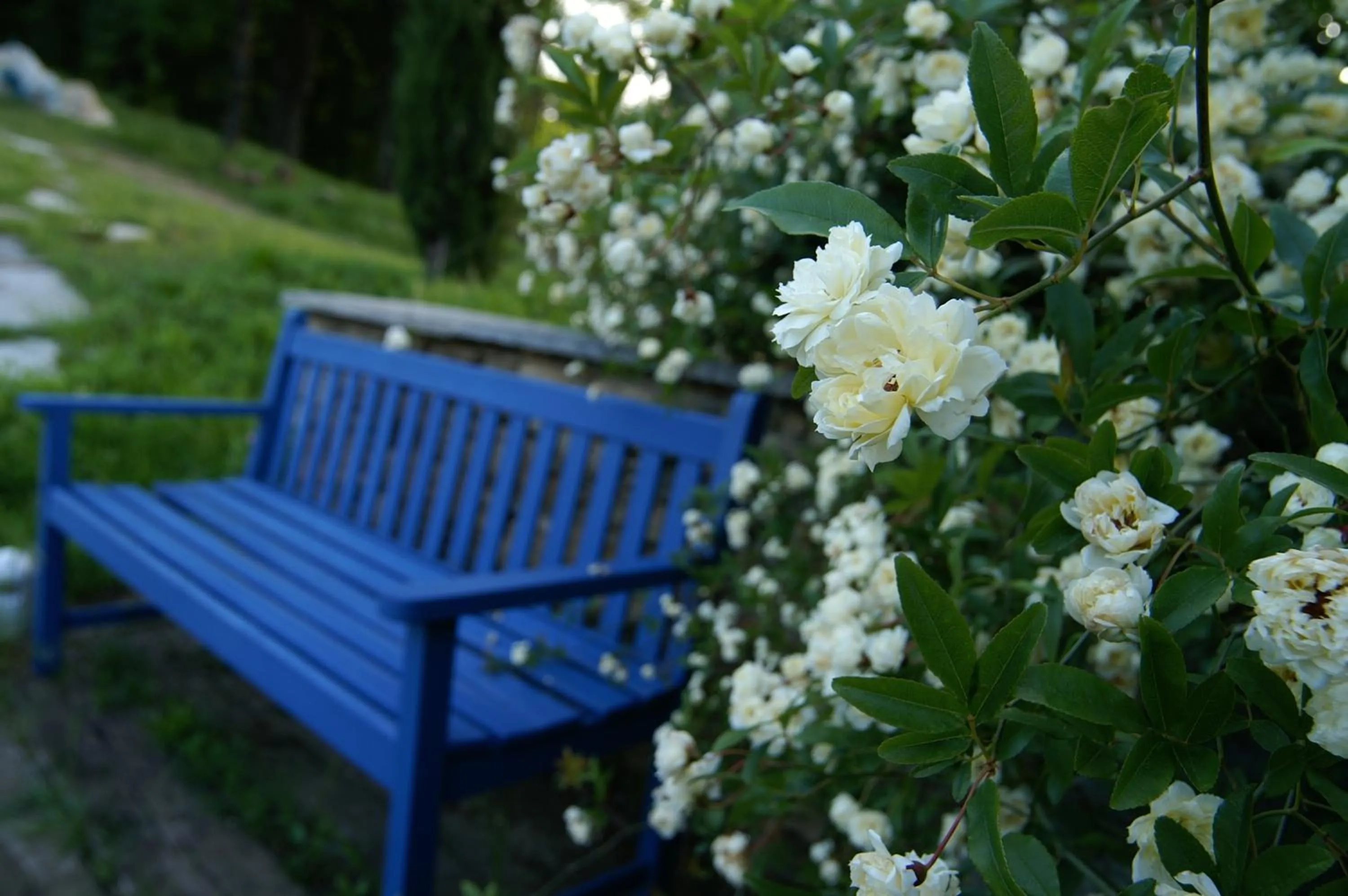 Garden in Residenza la beccata