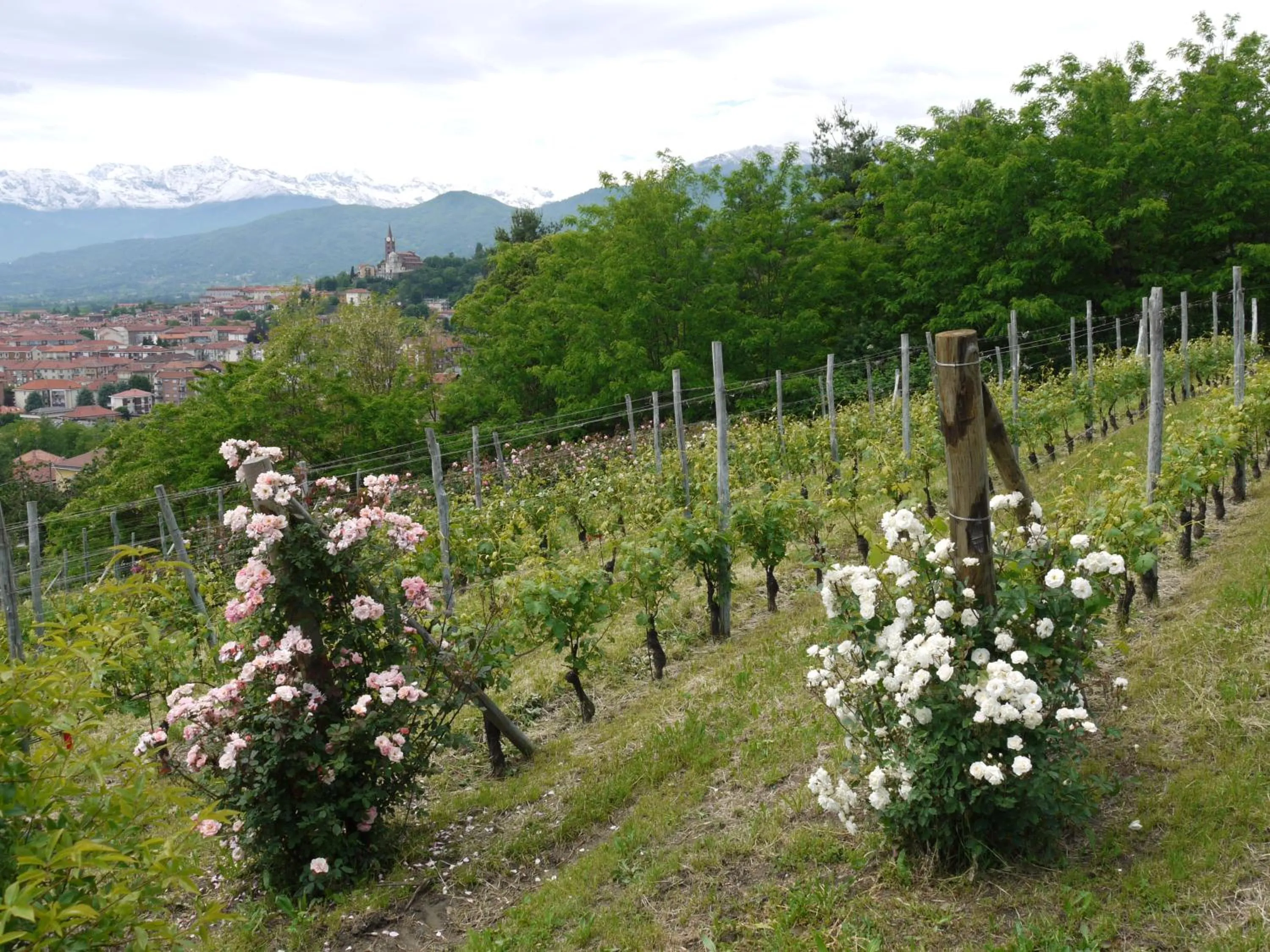 Garden in Residenza la beccata