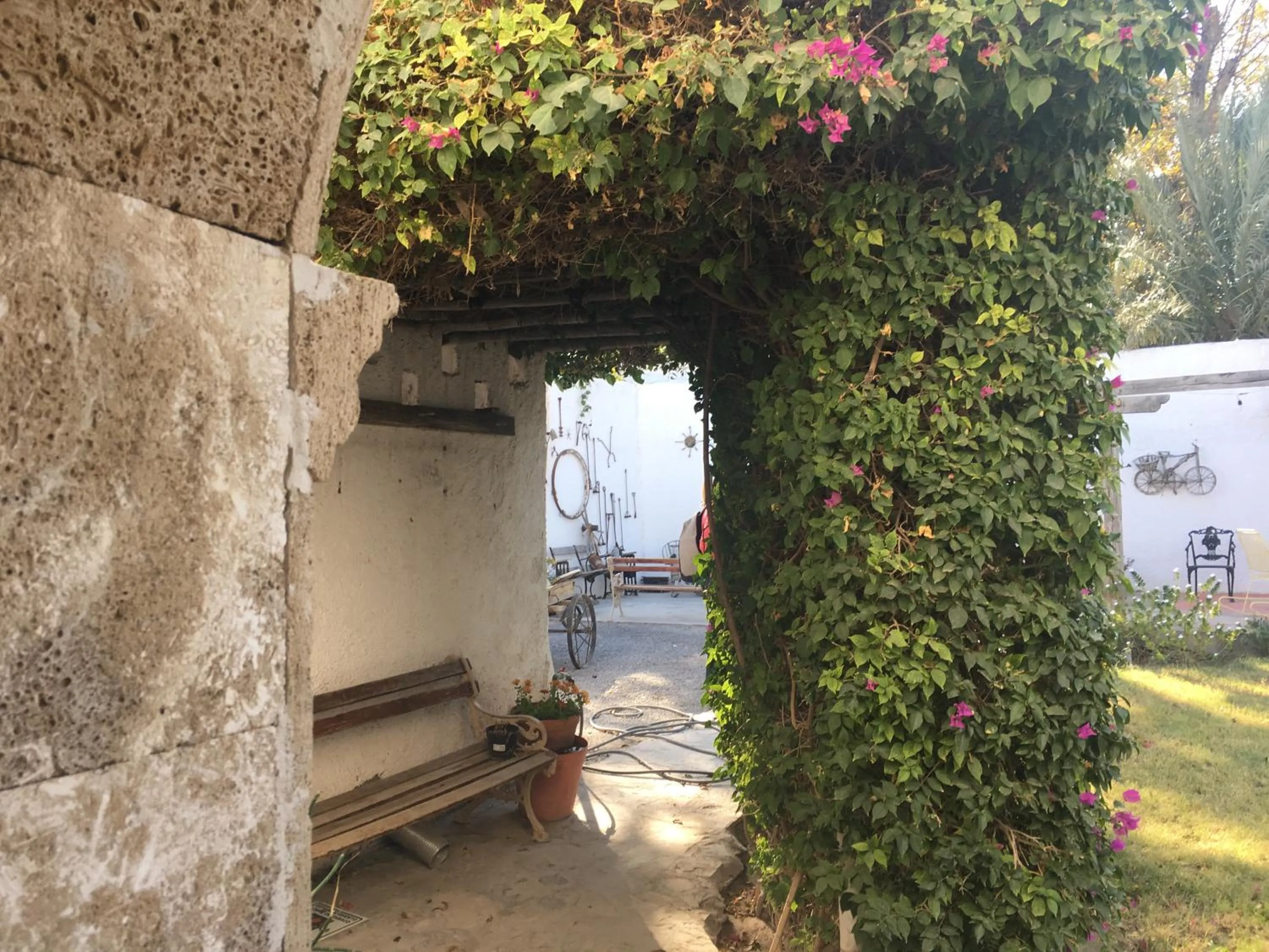 Hostal Doña Carlota Hotel