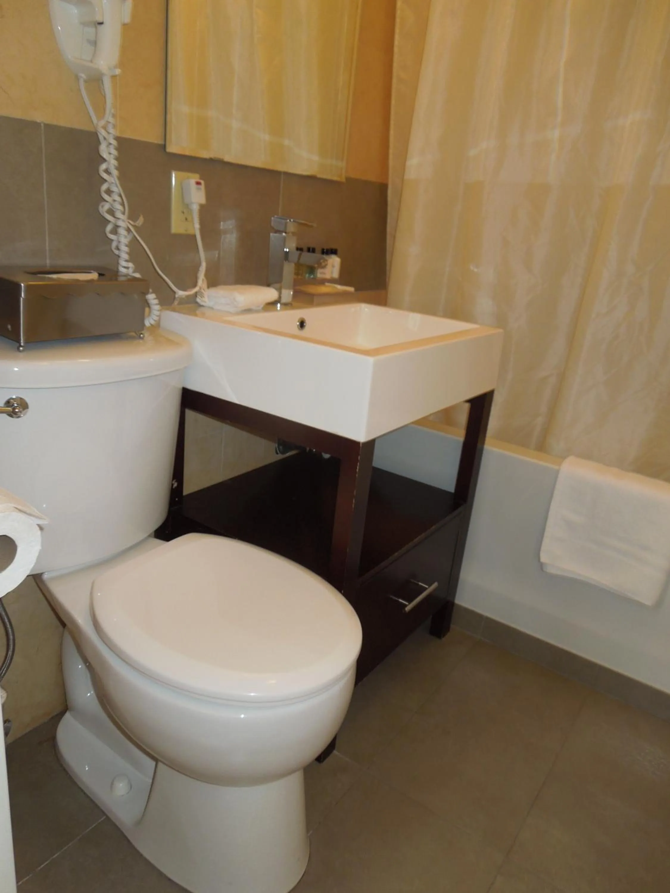 Bathroom in Pointe Plaza Hotel