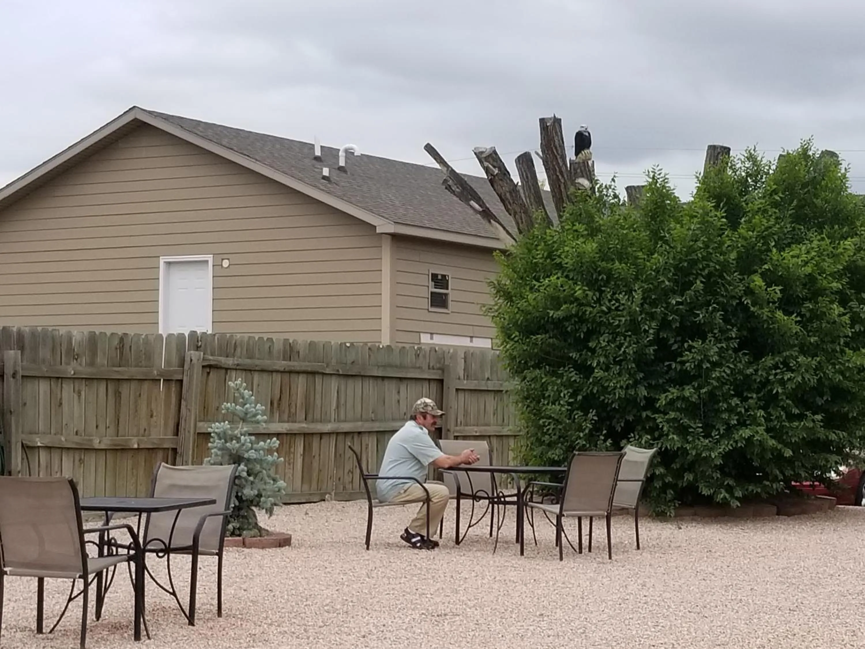 BBQ facilities in Days Inn by Wyndham Fort Collins