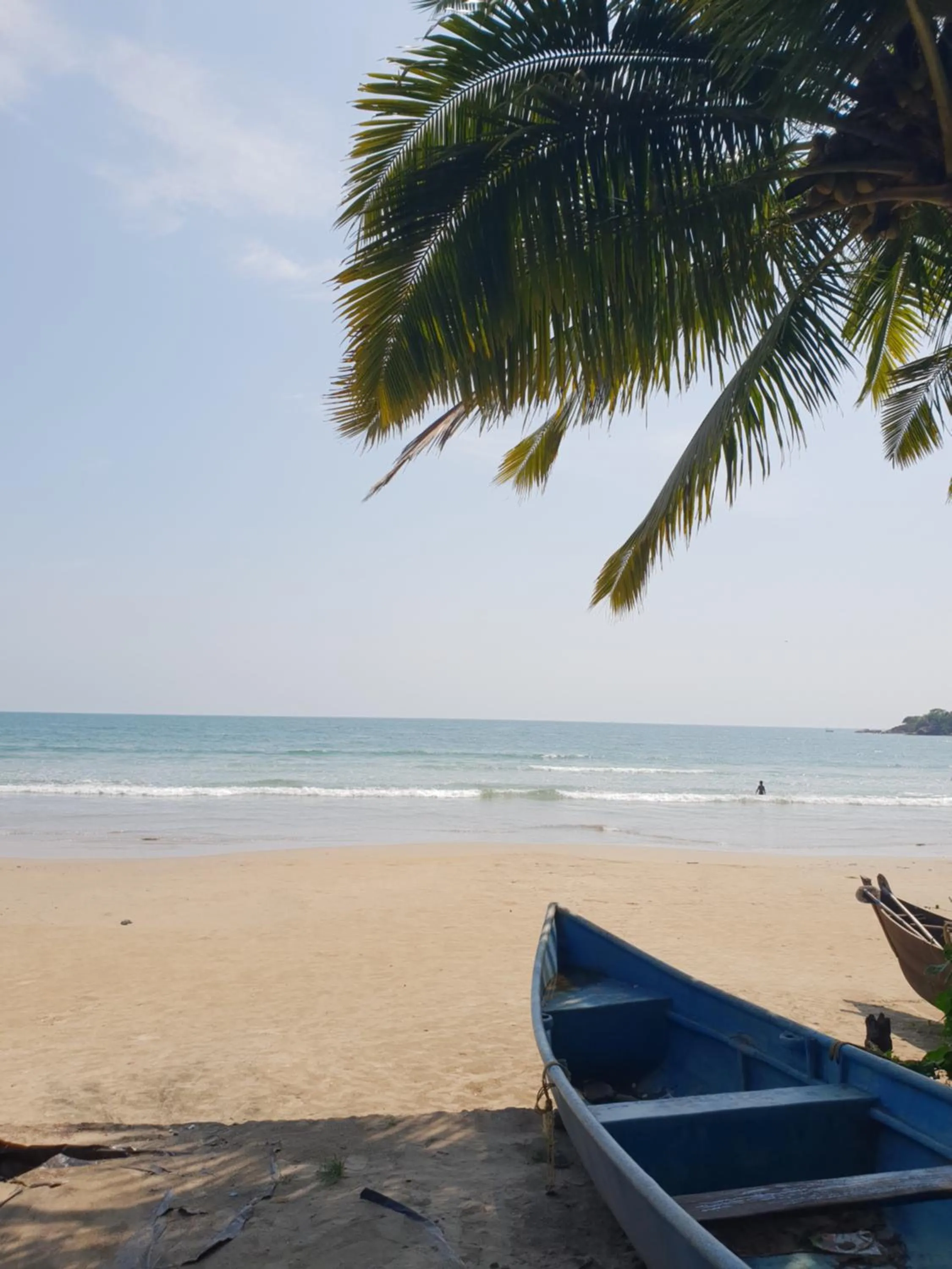 Beach in Palm Forest Palolem