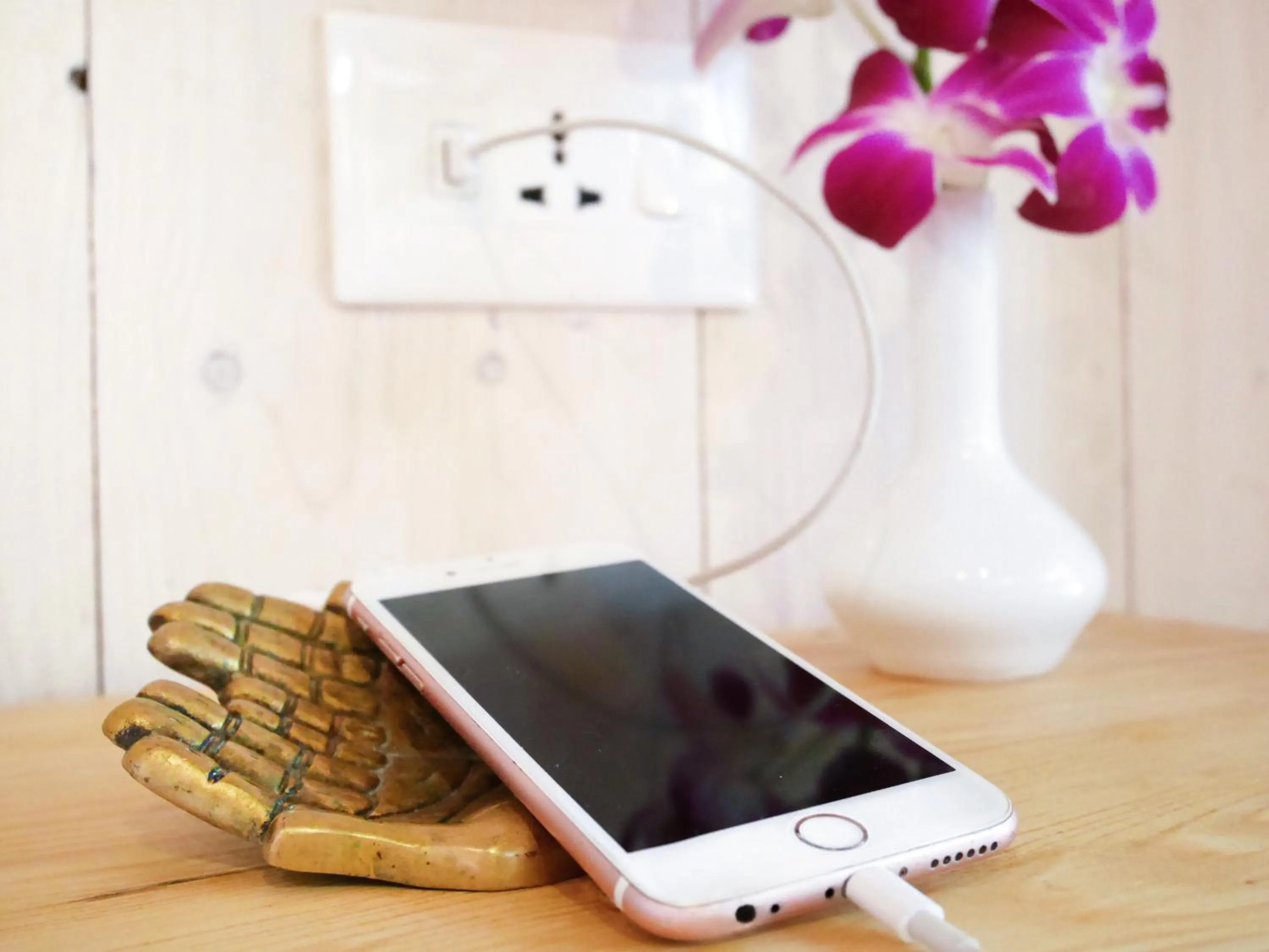 Decorative detail in Palm Forest Palolem