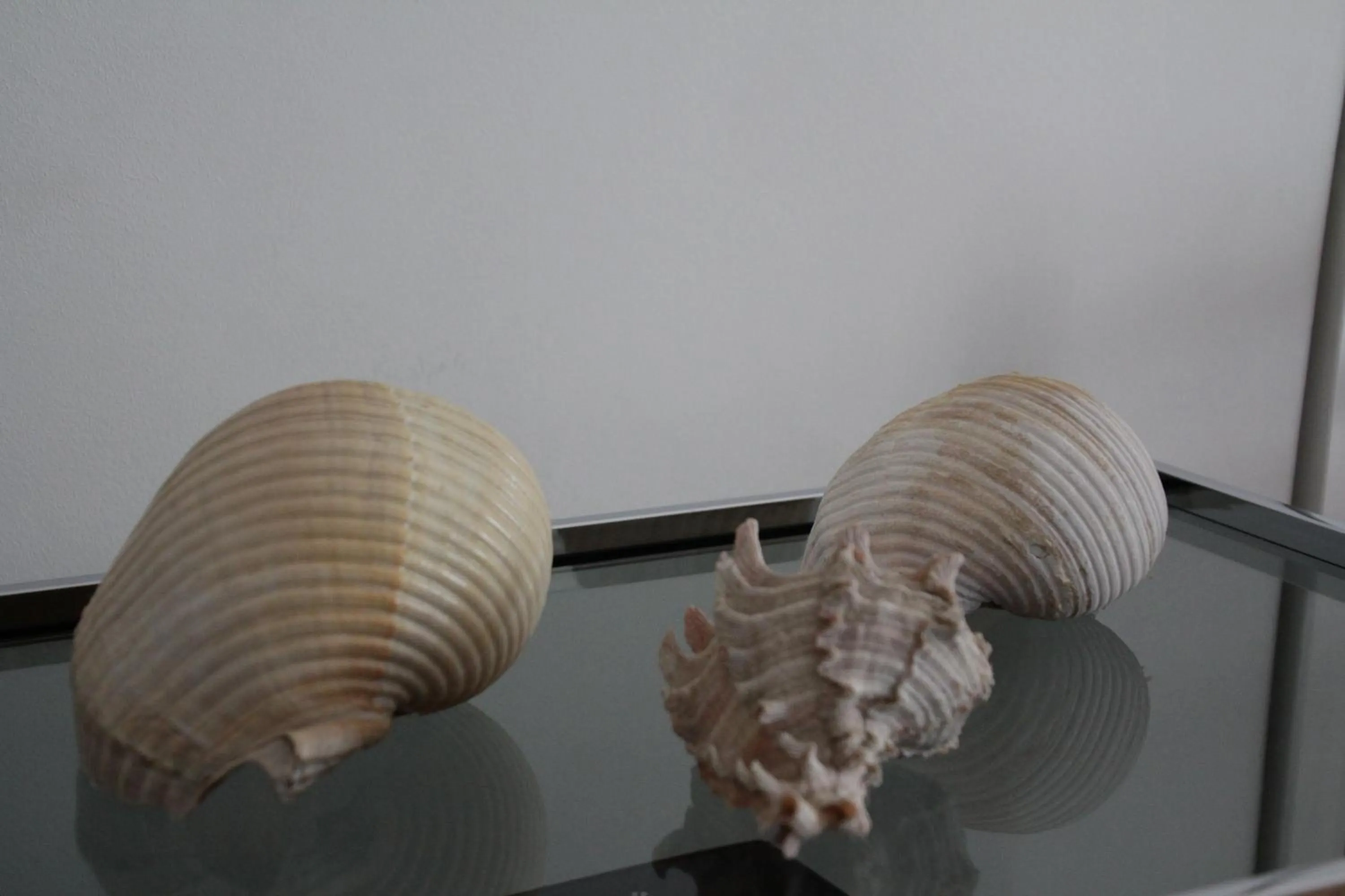 Decorative detail in B&B La Rosa Blu