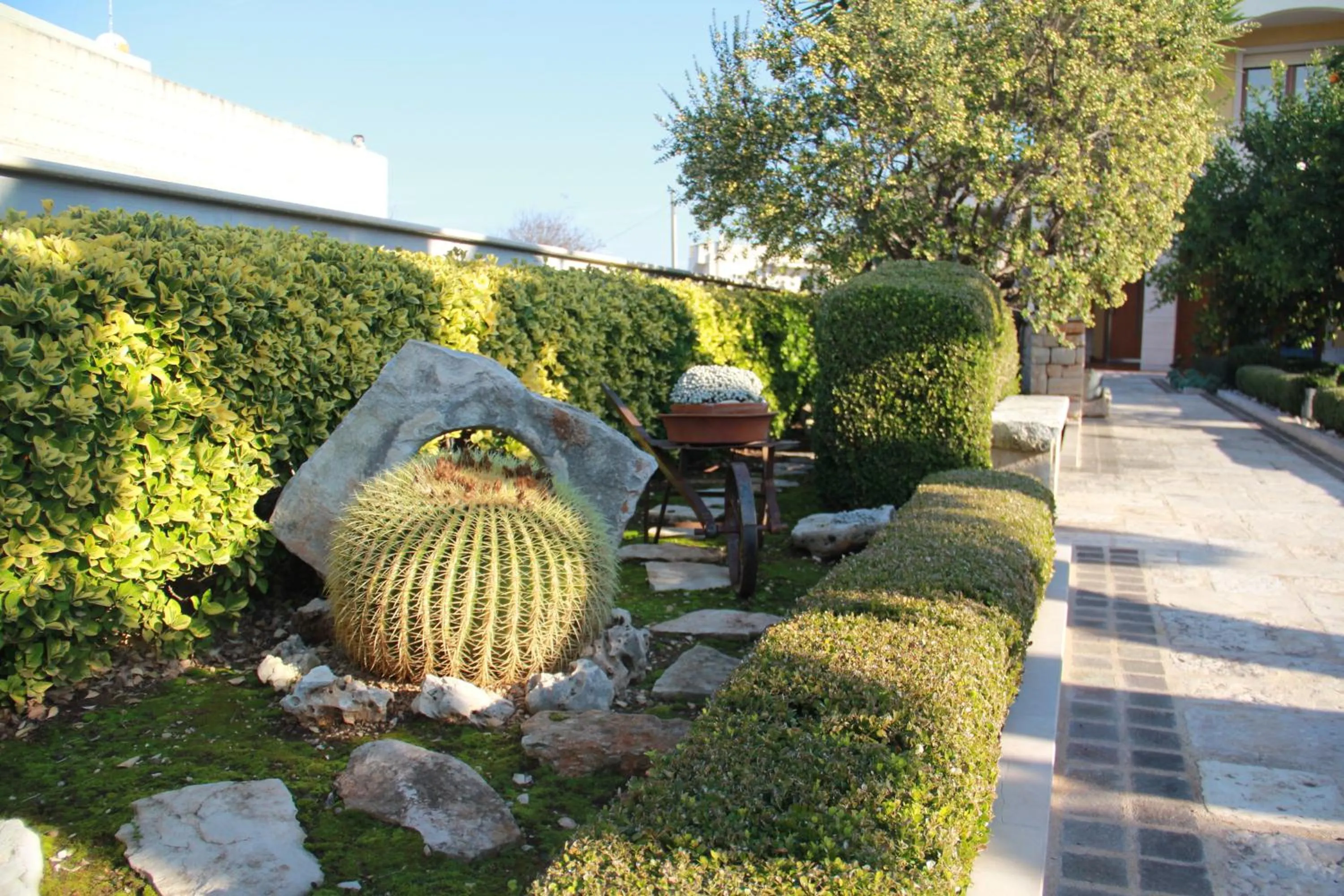 Garden in B&B La Rosa Blu