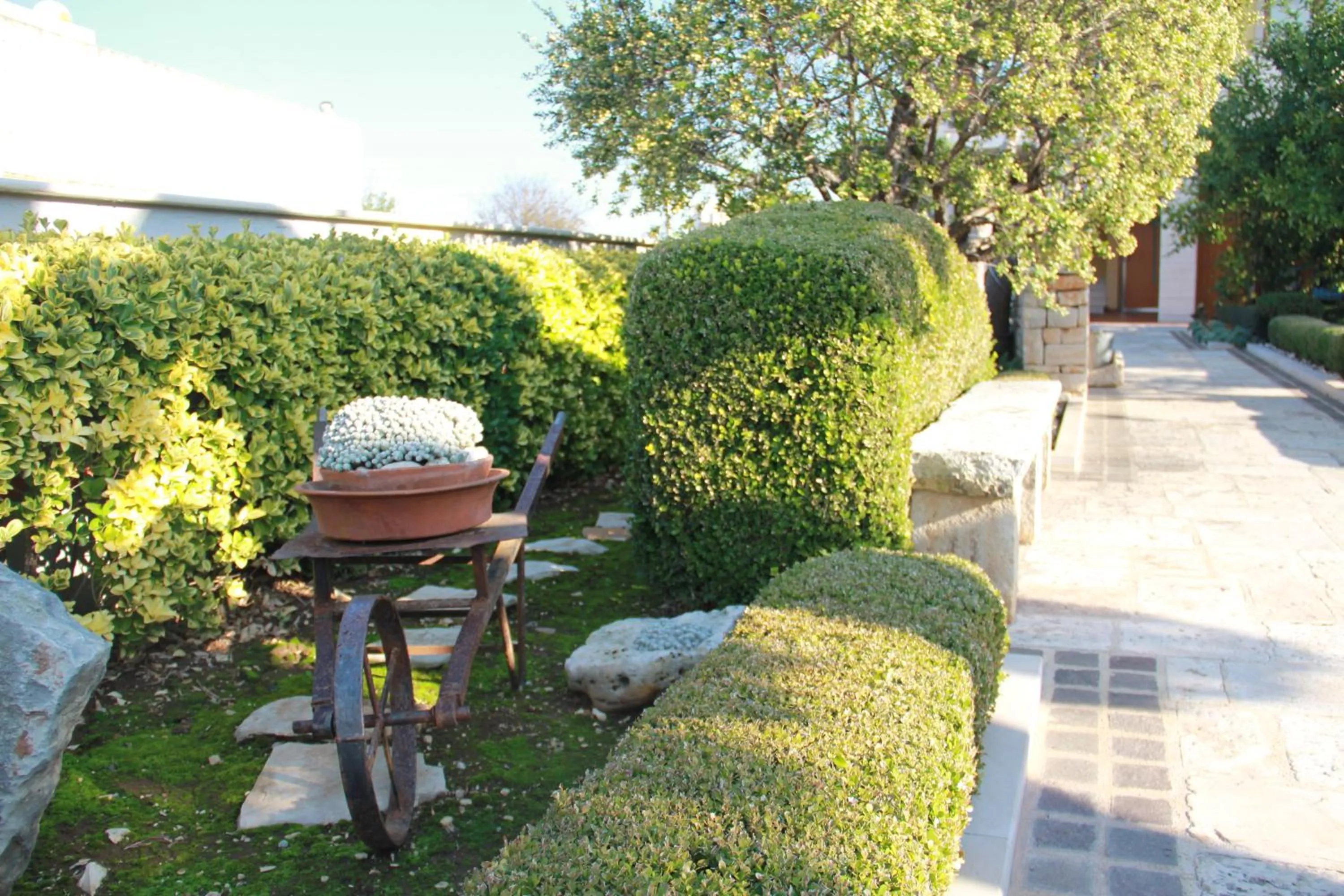 Garden in B&B La Rosa Blu