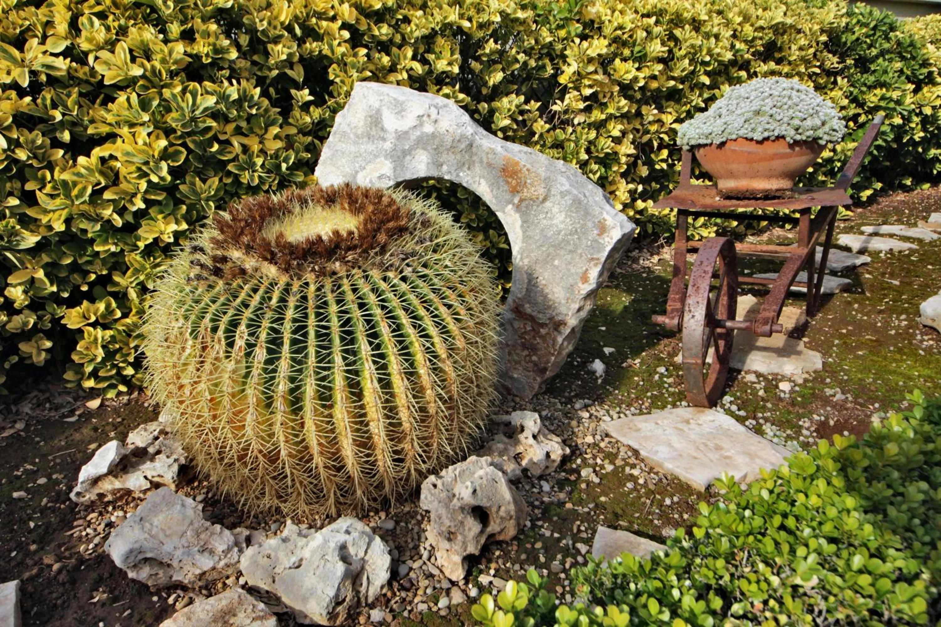 Garden view in B&B La Rosa Blu