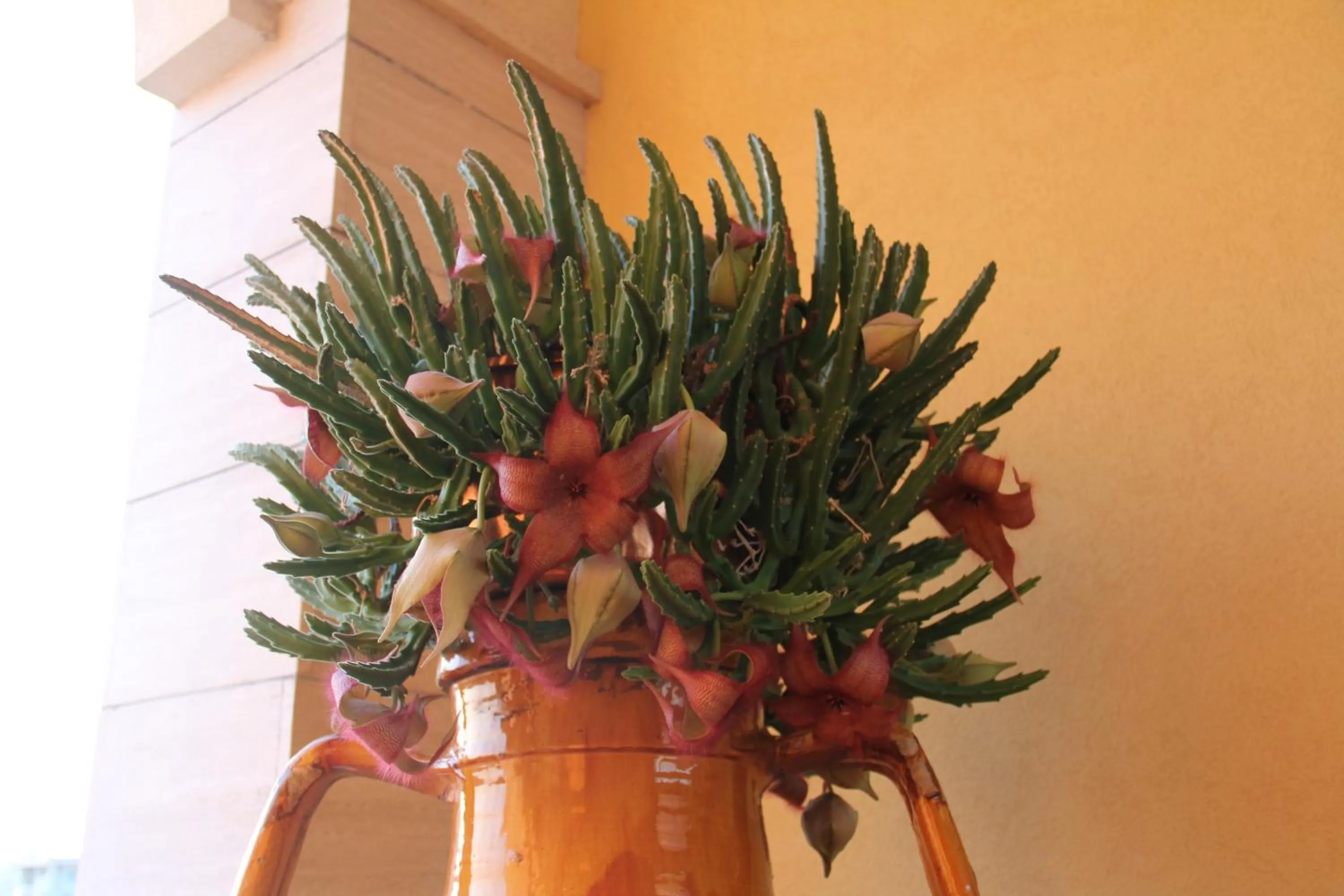 Day in B&B La Rosa Blu