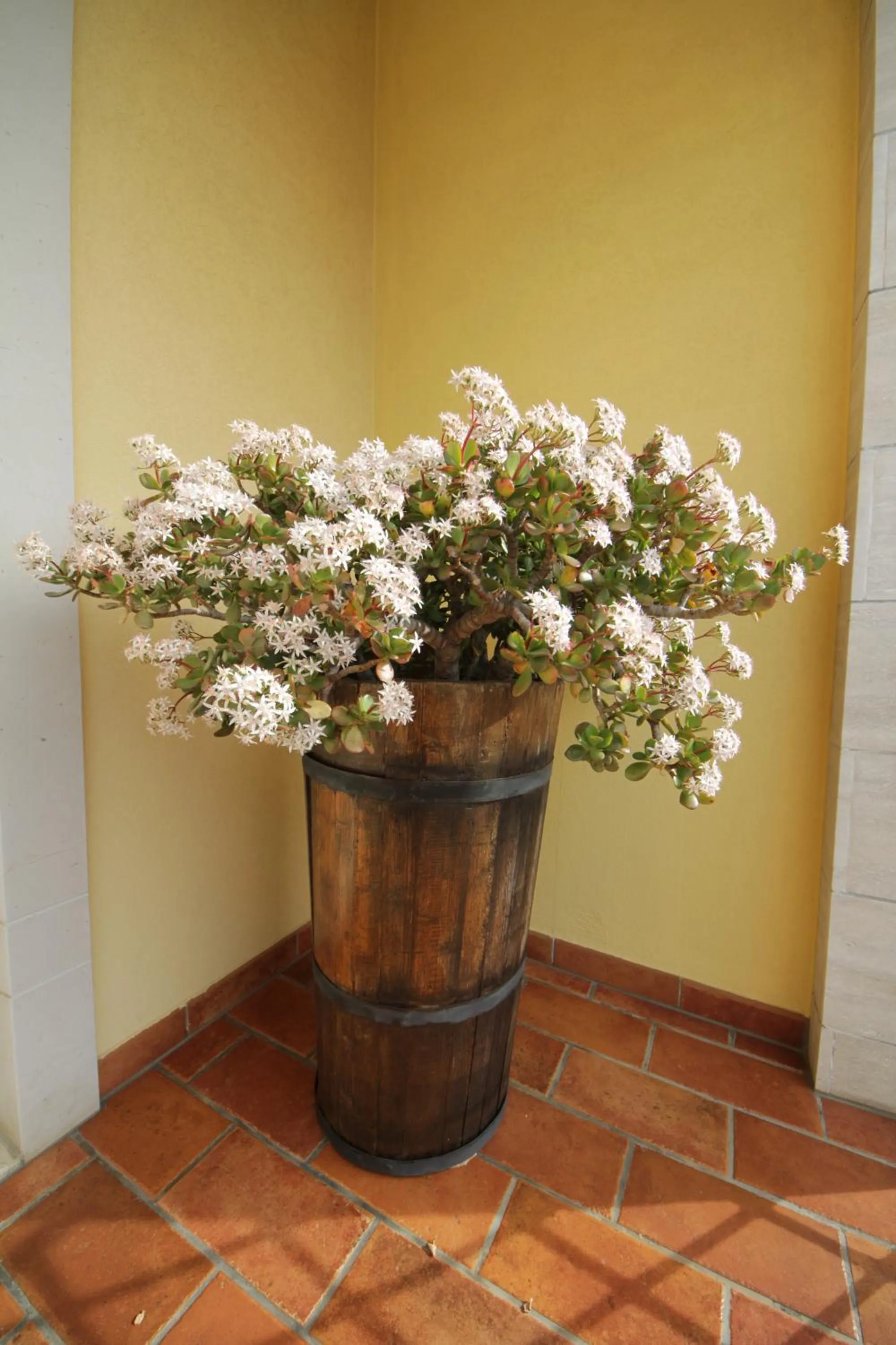 Decorative detail in B&B La Rosa Blu
