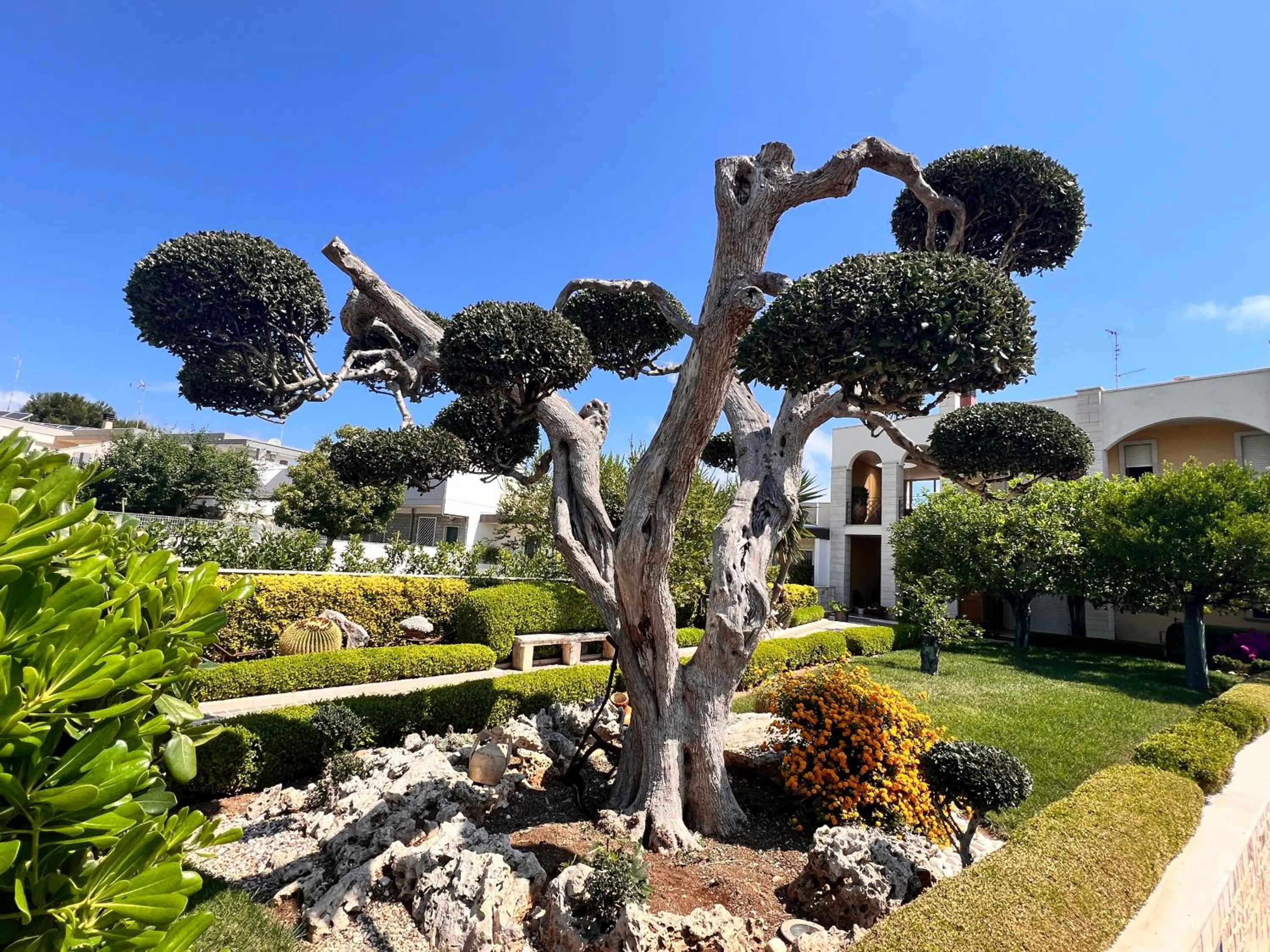 Garden in B&B La Rosa Blu